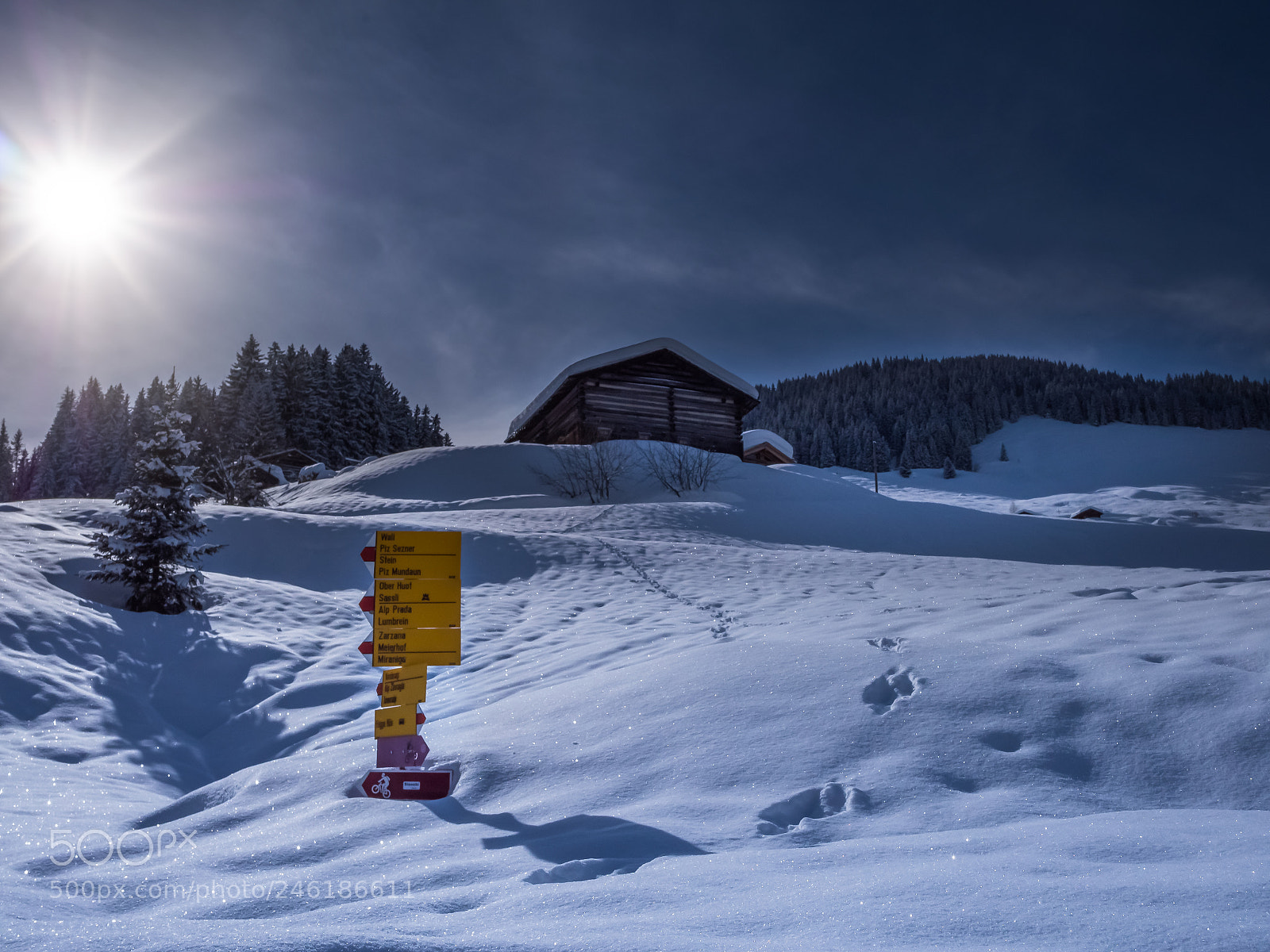 Panasonic Lumix DMC-GX8 sample photo. #winterwonderland photography