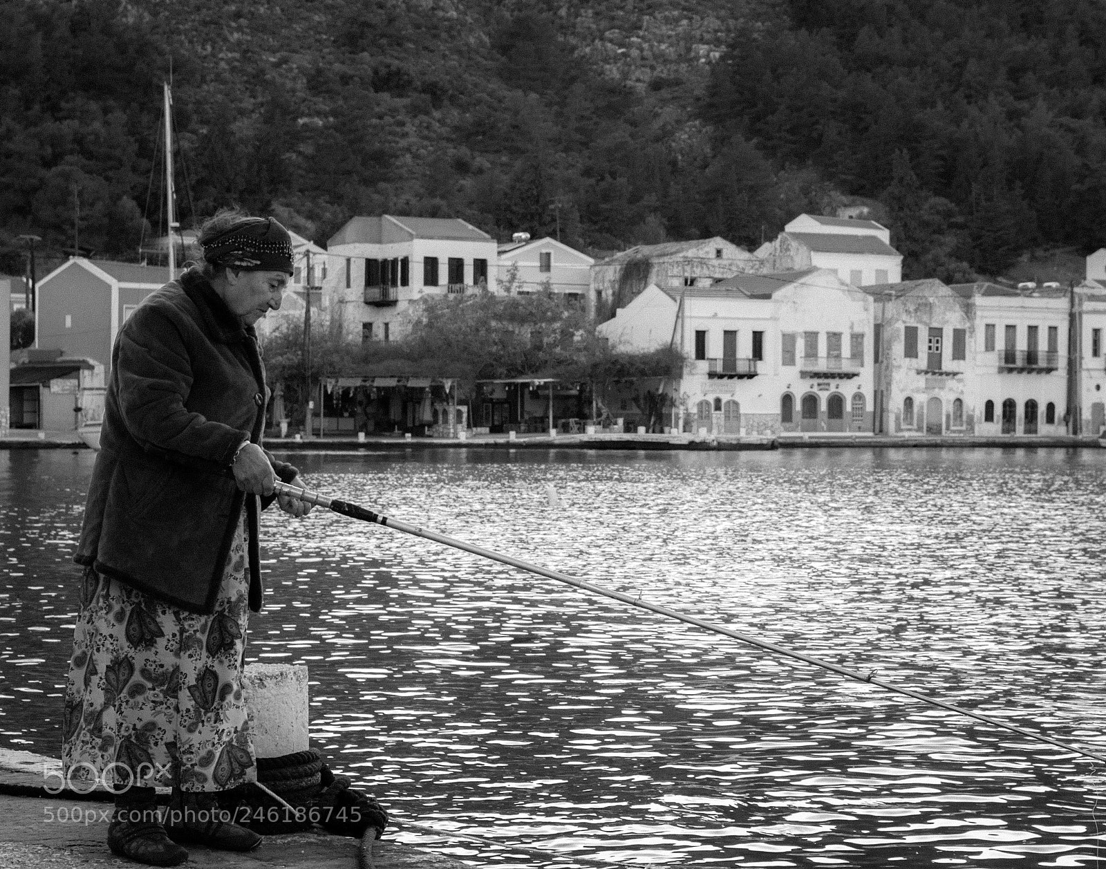Nikon D7100 sample photo. Passion photography