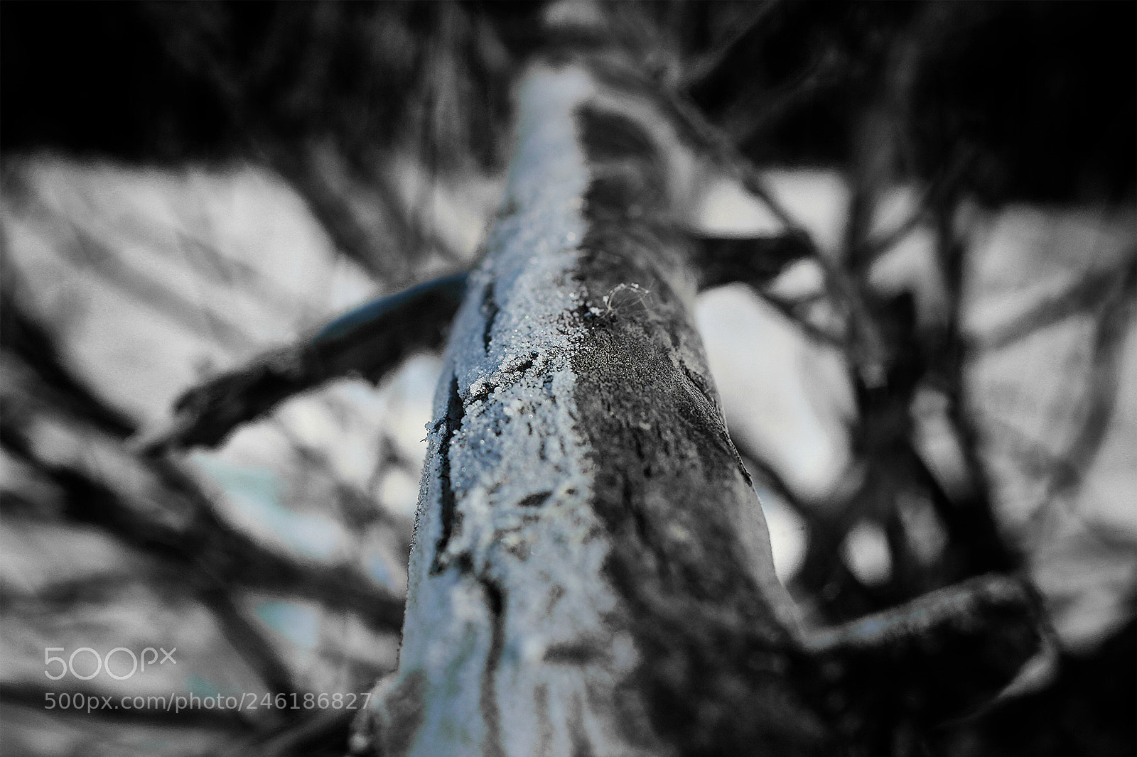 Canon EOS 60D sample photo. Untitled photography