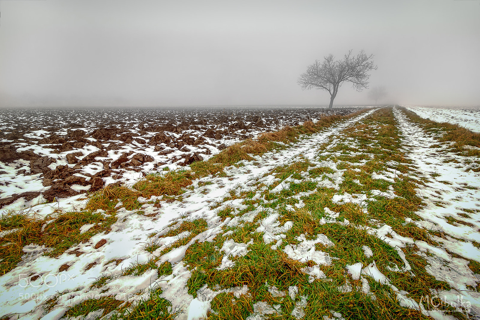 Canon EOS 60D sample photo. Fog photography