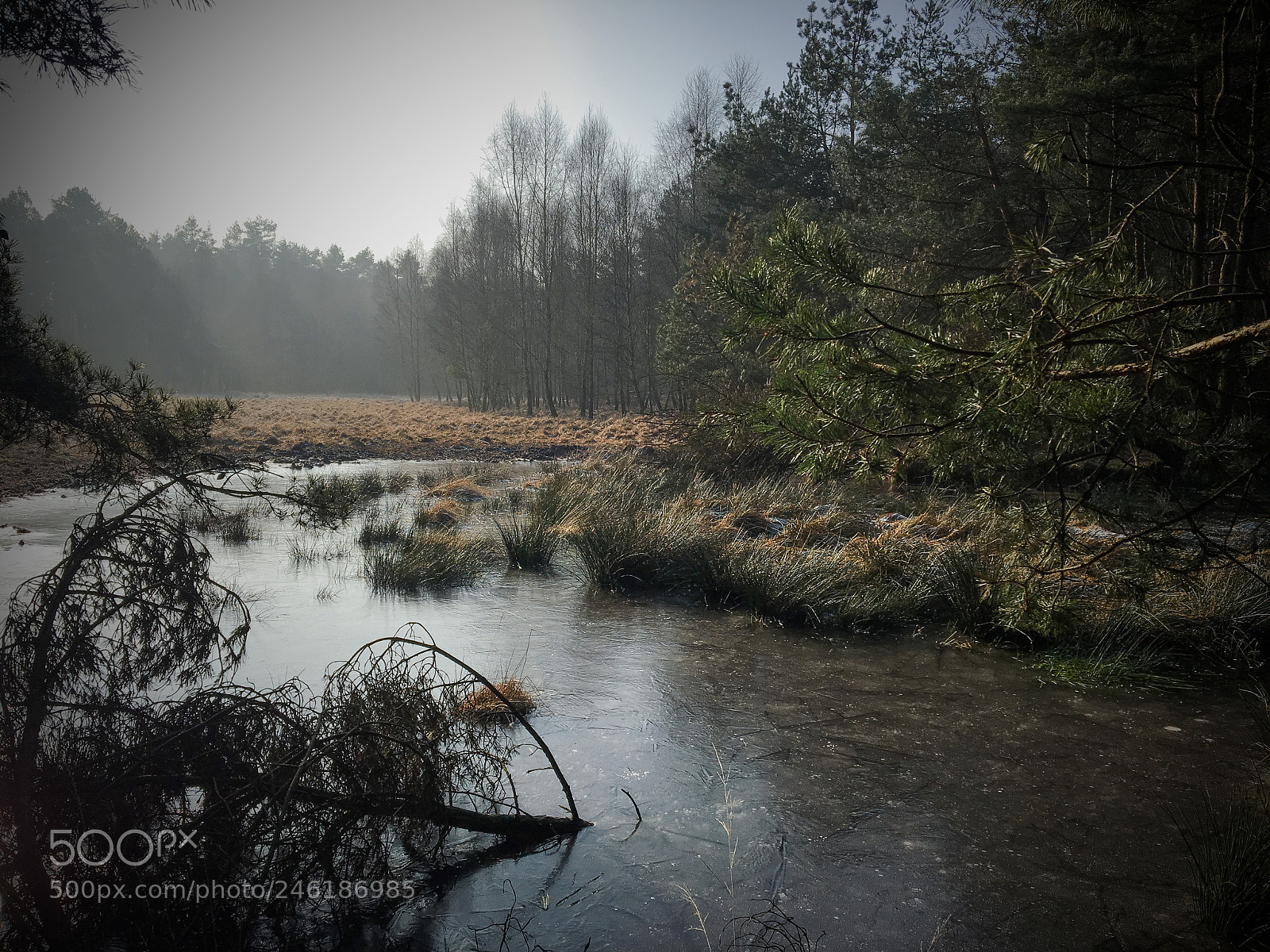 Apple iPhone 6s sample photo. Wildscheingrube. photography