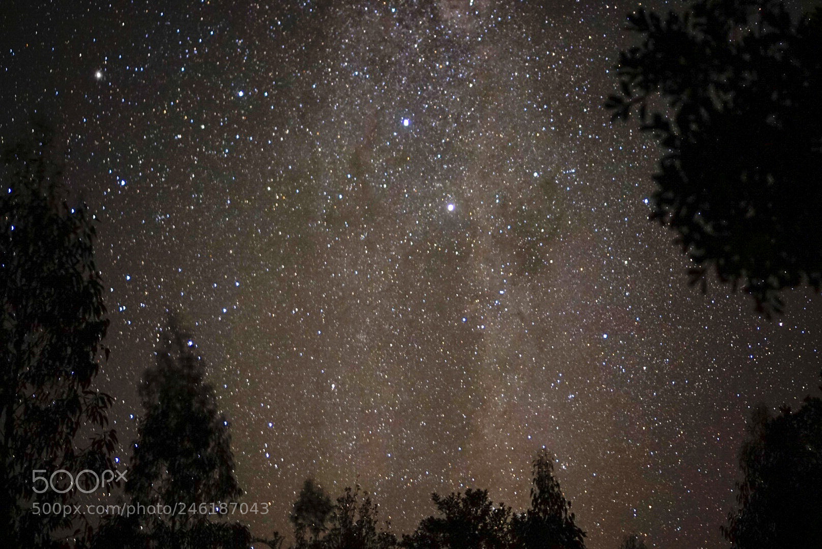 Sony Alpha a5000 (ILCE 5000) sample photo. Stars photography