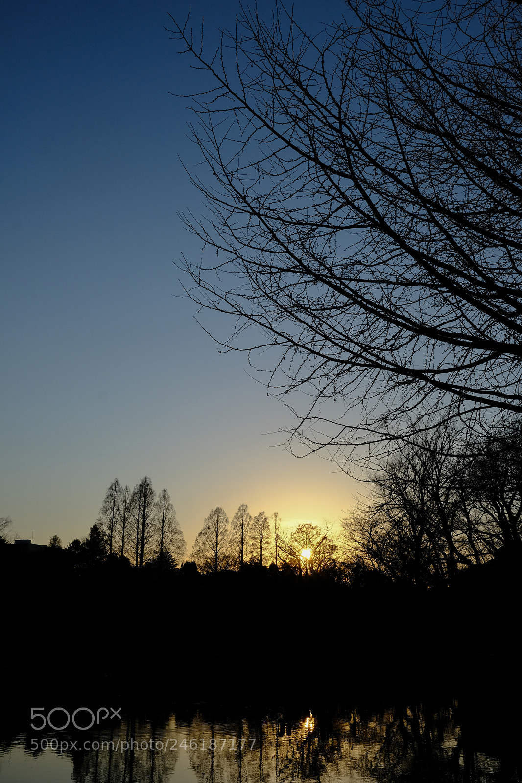 Fujifilm X-Pro2 sample photo. Turn into the night photography