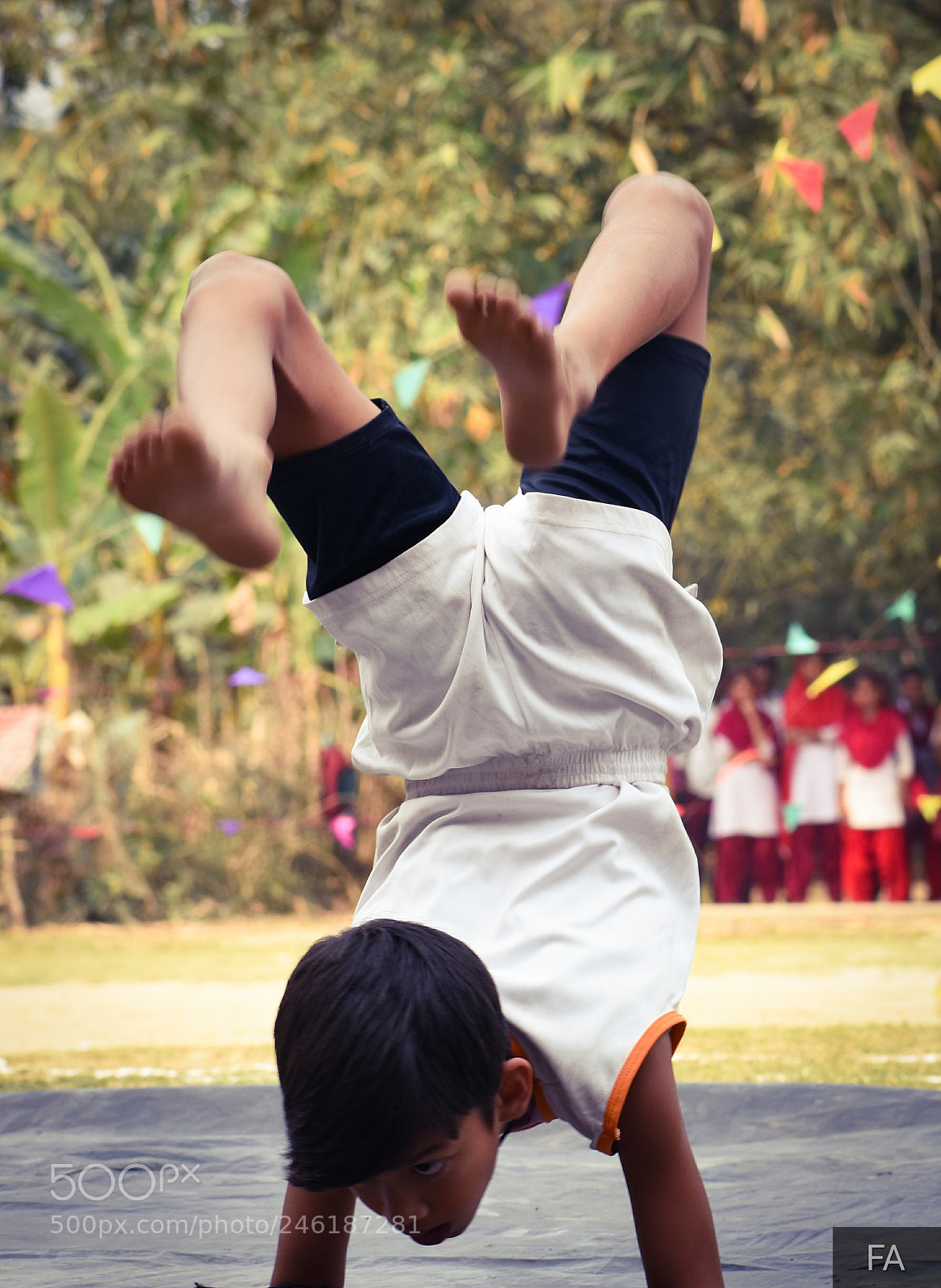 Nikon D3400 sample photo. Up.... photography
