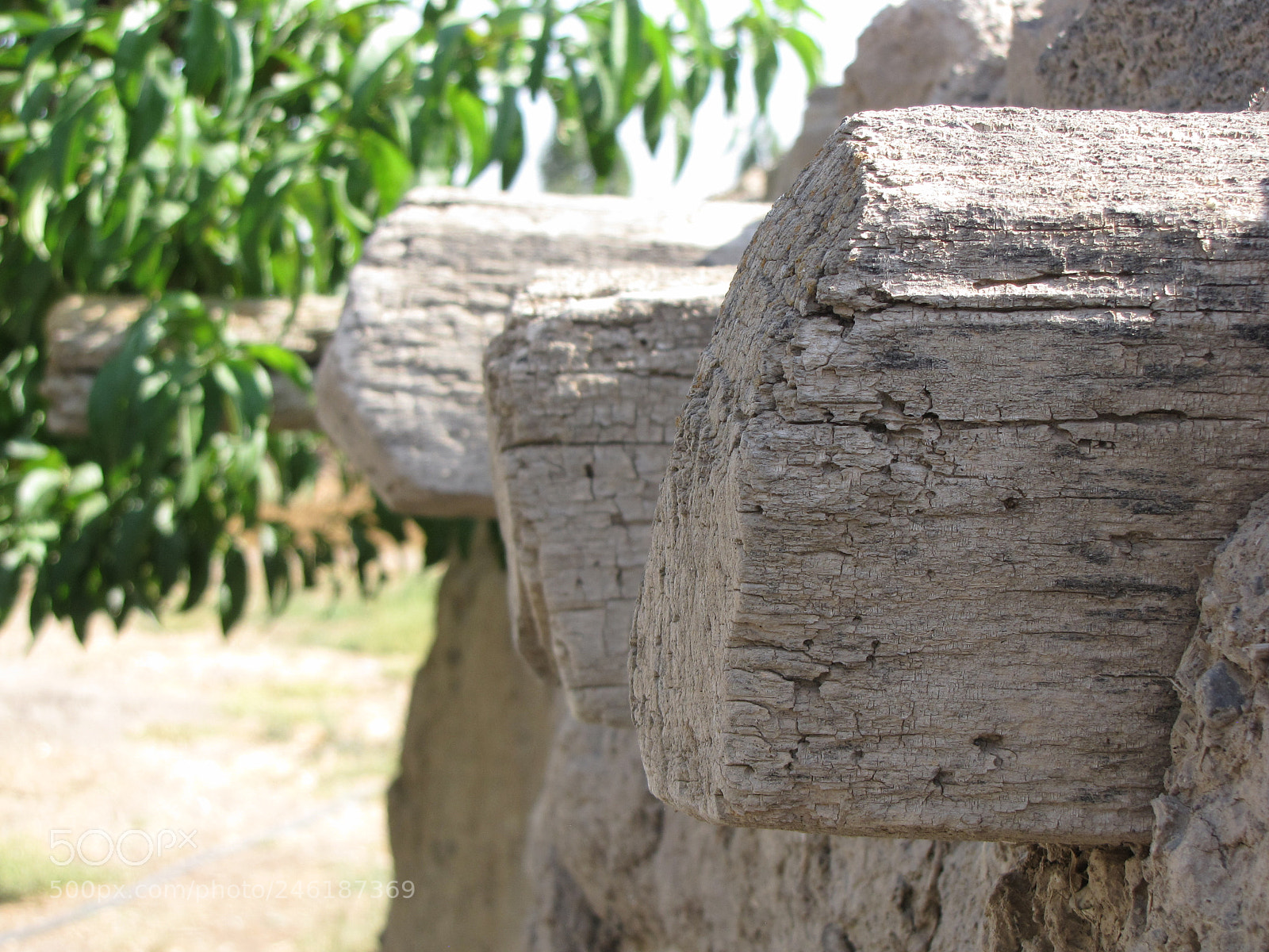 Canon PowerShot SX10 IS sample photo. Farm photography