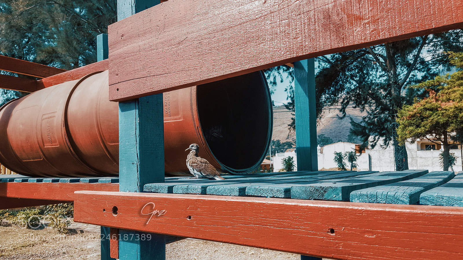 Samsung GALAXY S6 edge sample photo. Little birdie photography