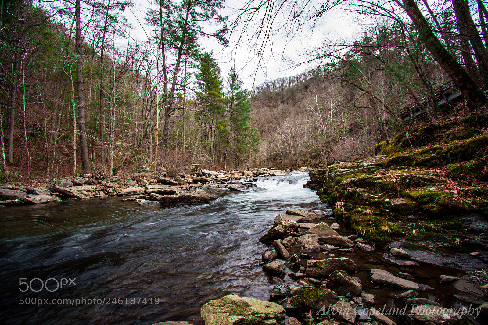 Nikon D7200 sample photo. Walk along the river 2 photography