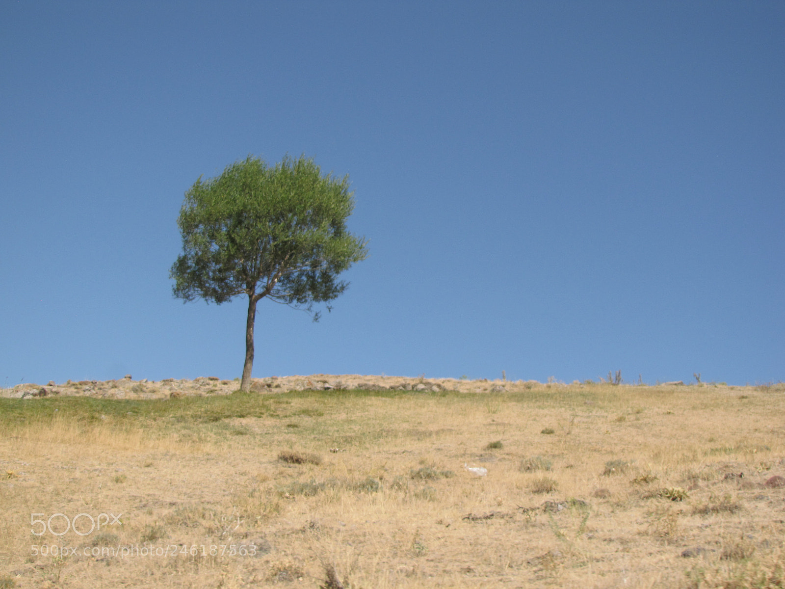 Canon PowerShot SX10 IS sample photo. Img photography