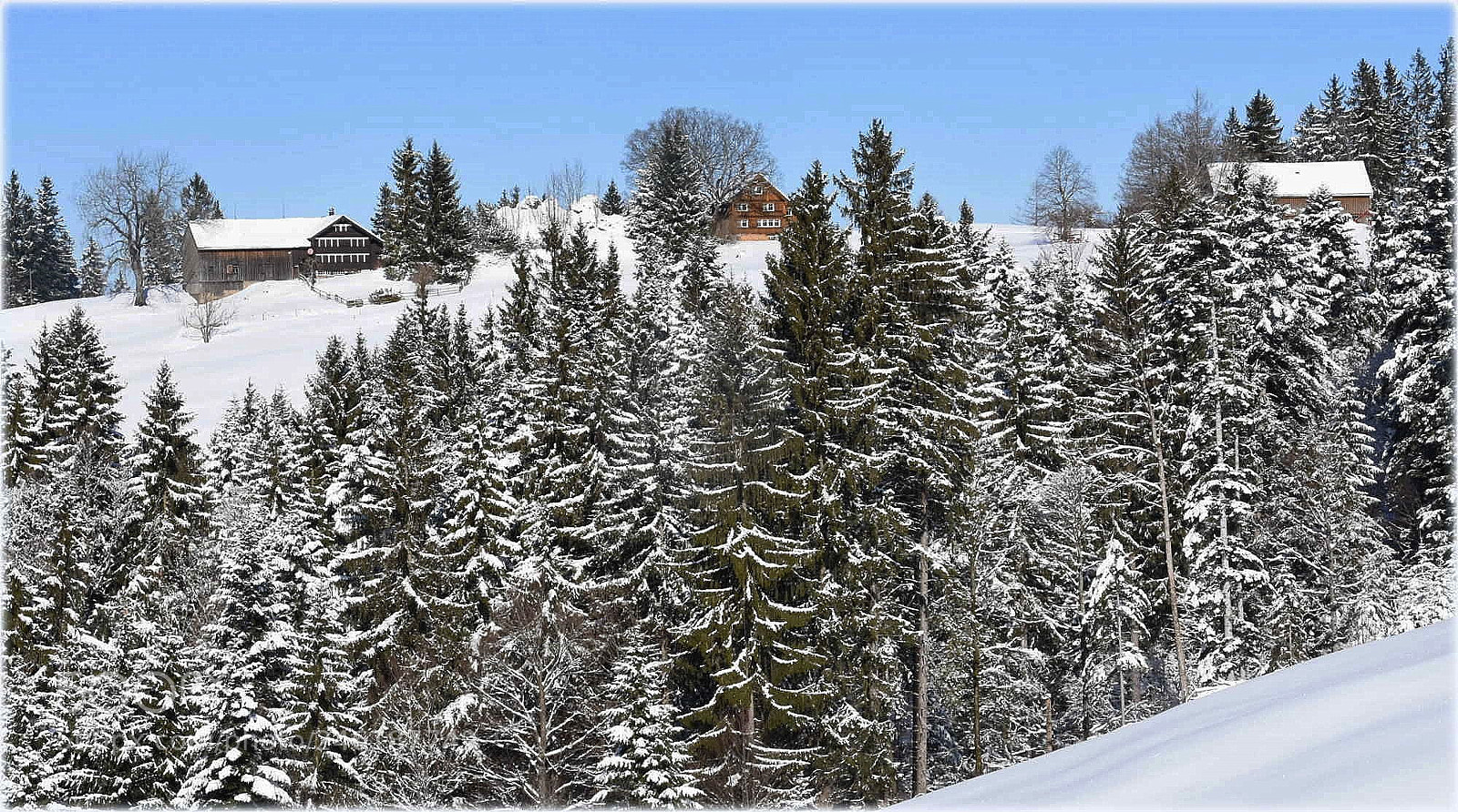 Nikon D7200 sample photo. "schönengrund,detail" photography