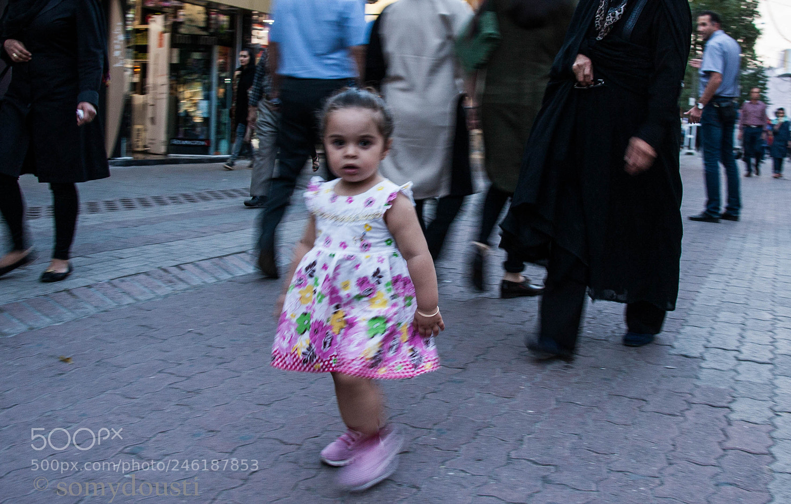 Canon EOS 40D sample photo. Missing photography