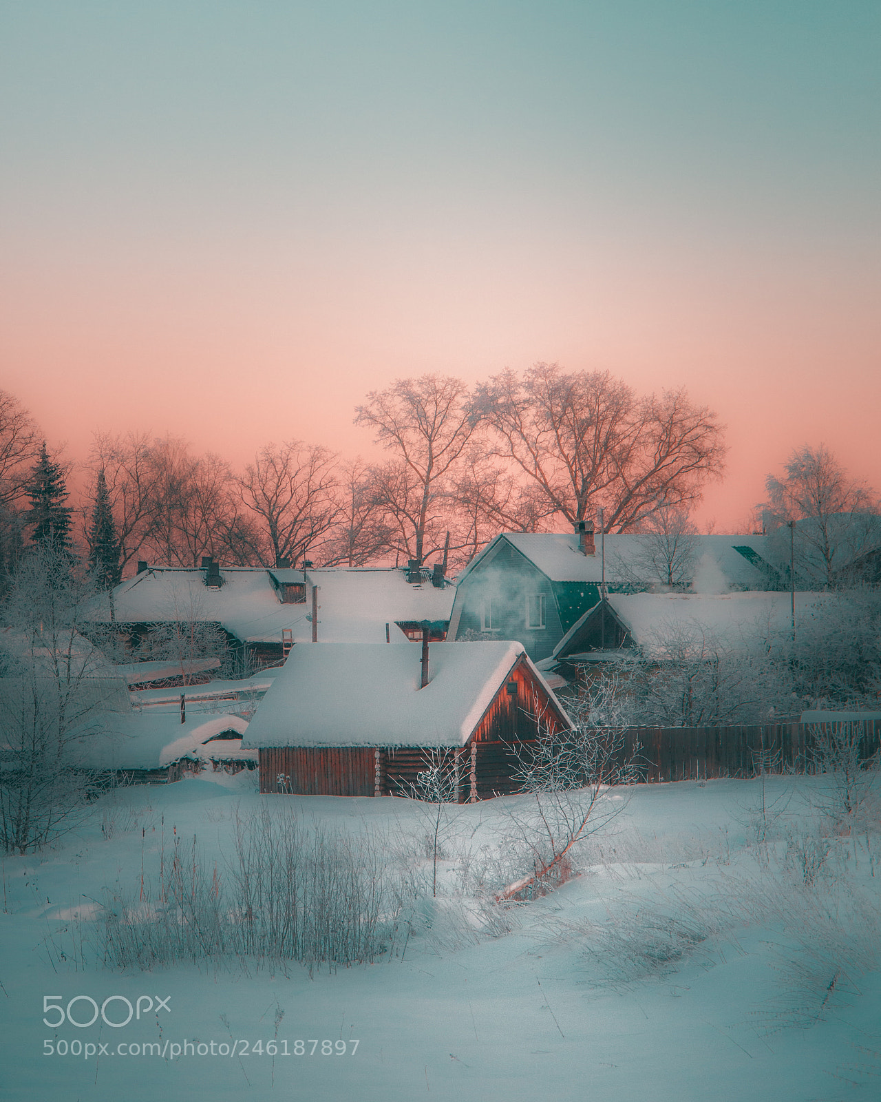 Canon EOS 600D (Rebel EOS T3i / EOS Kiss X5) sample photo. Winter wonderland photography