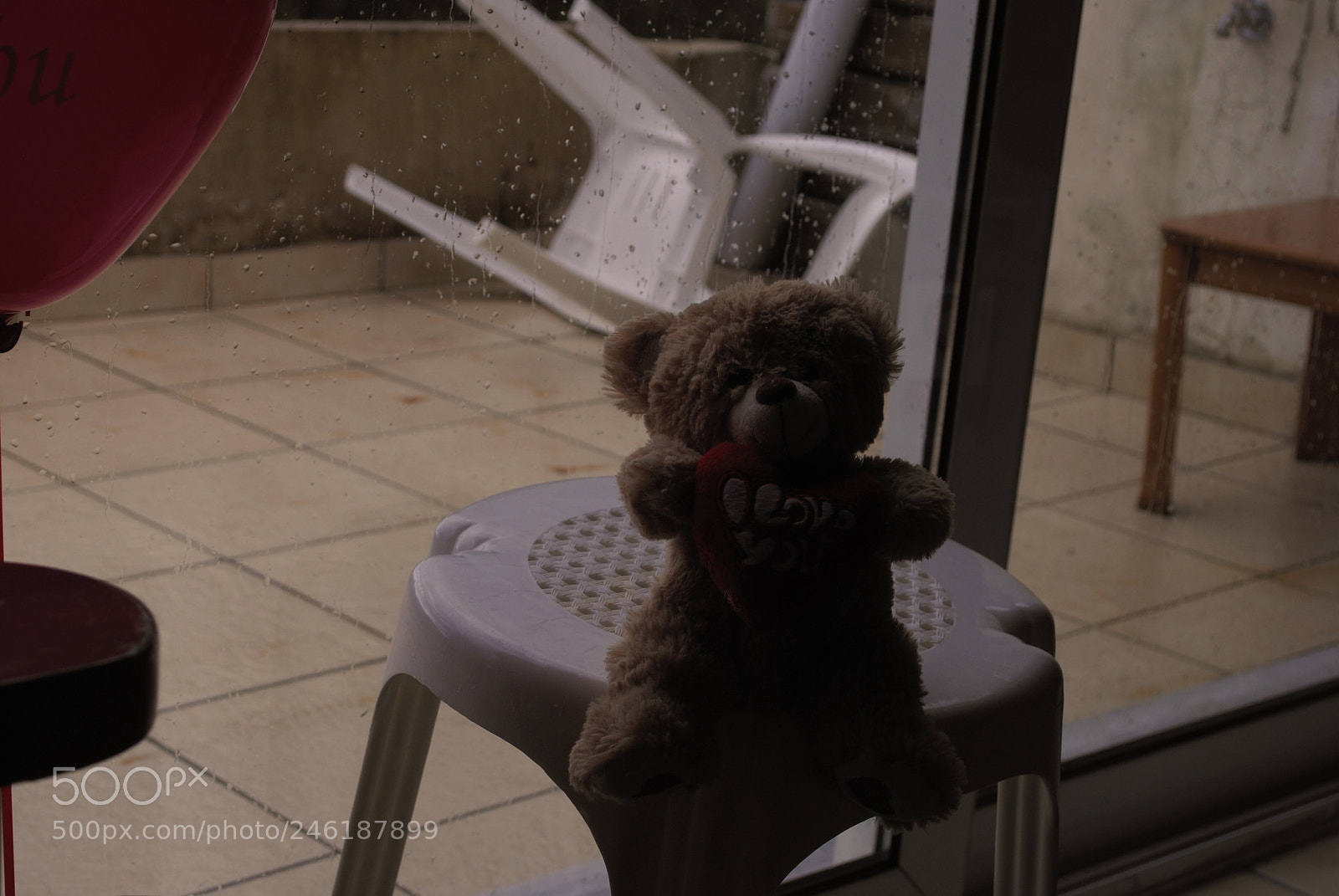Nikon D3000 sample photo. Valentine's day photography