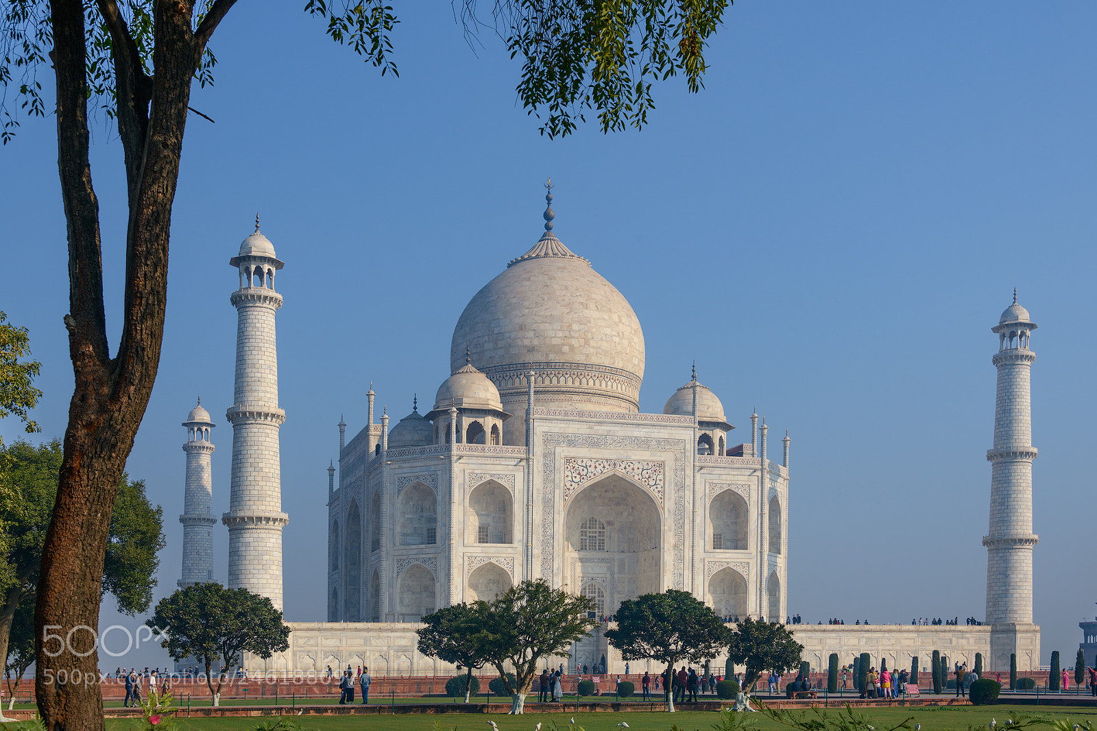 Nikon D850 sample photo. Taj mahal photography