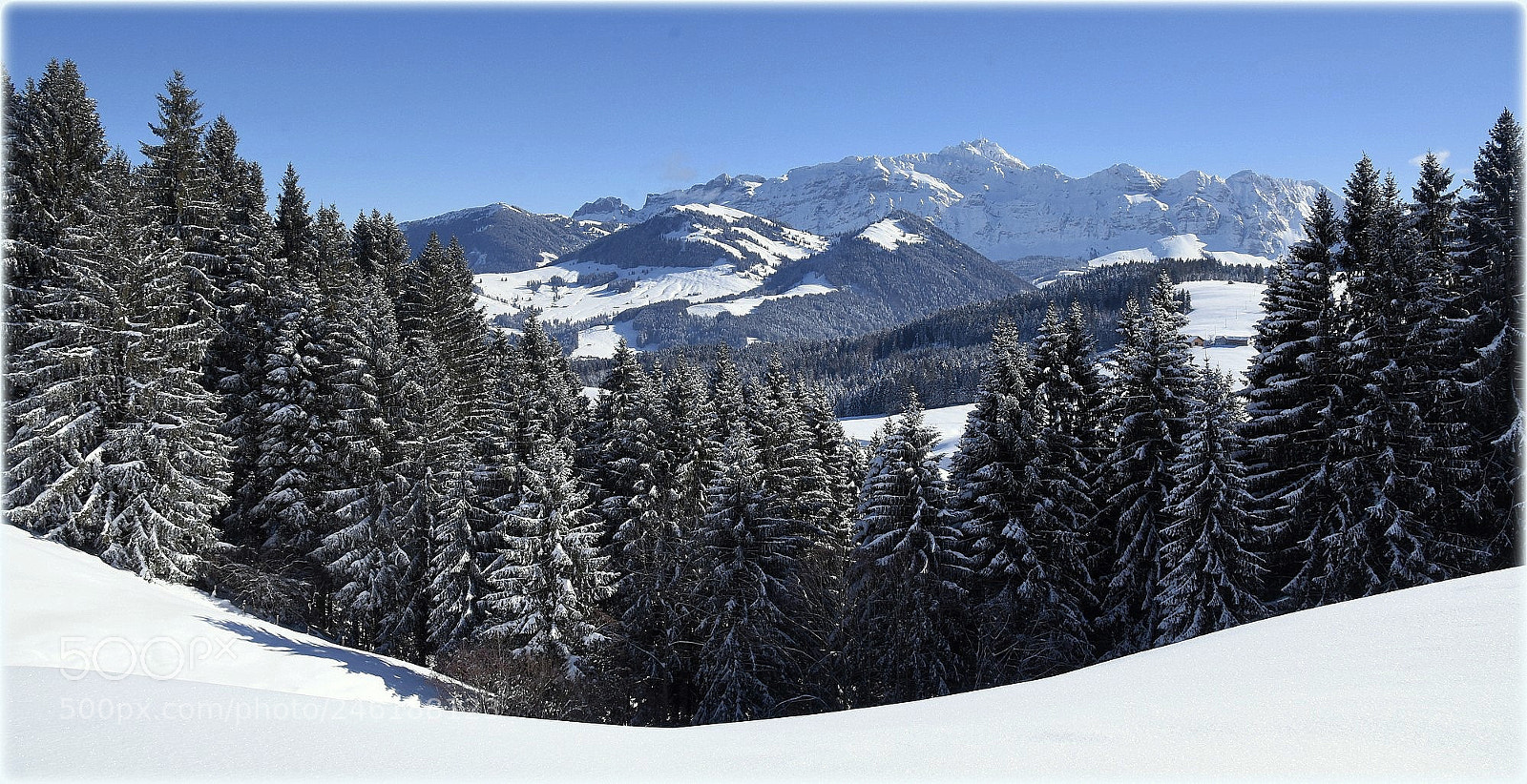Nikon D810 sample photo. "alpsteinview" photography