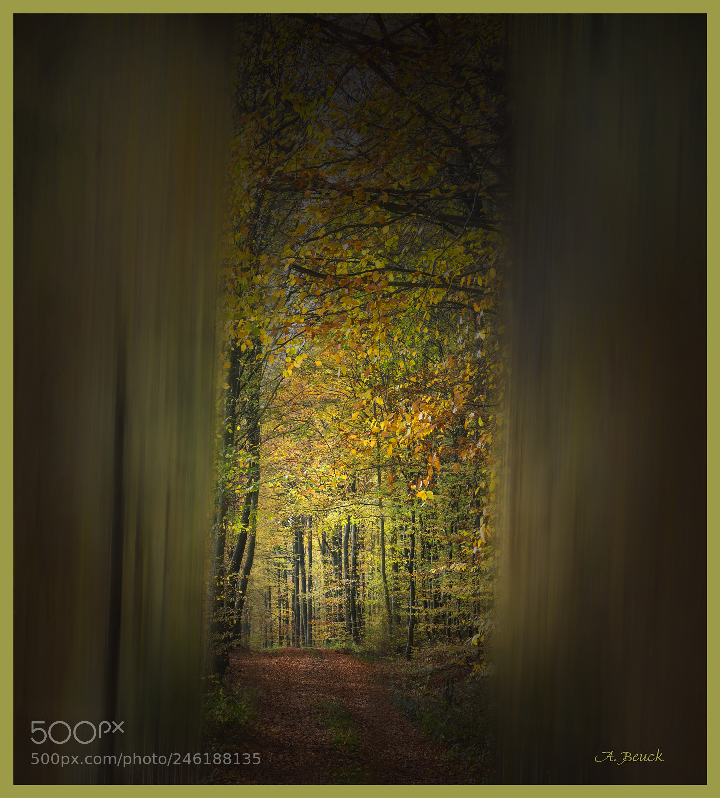 Sony a7 sample photo. Tunnelblick photography