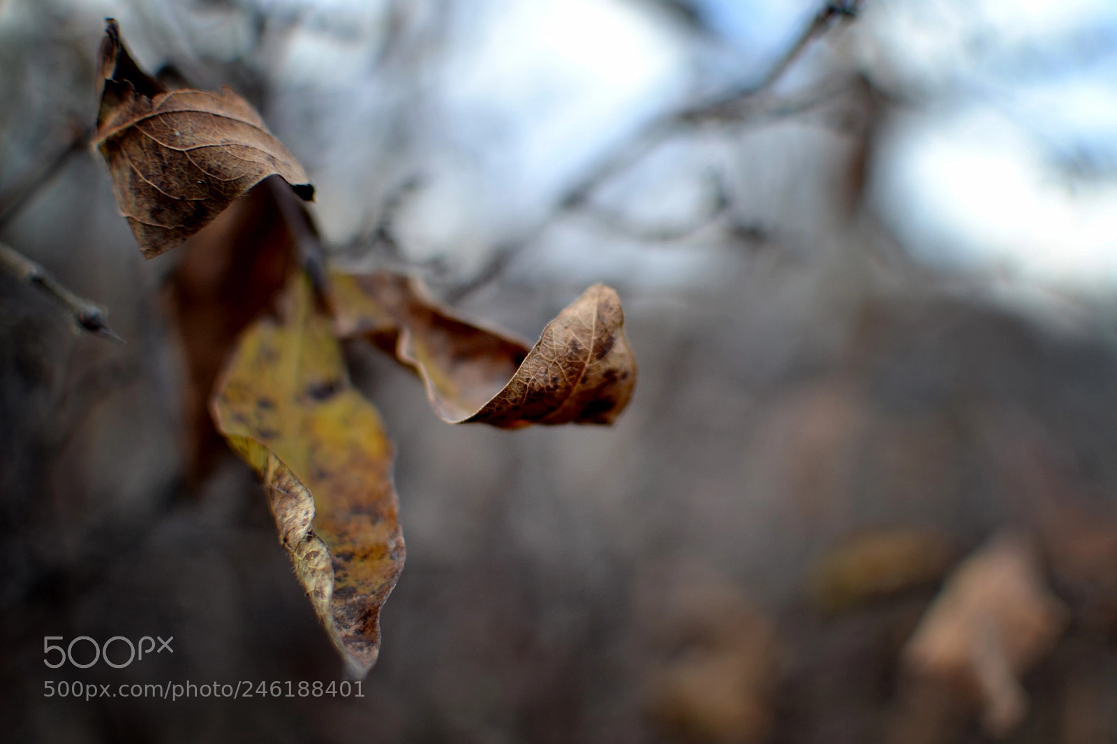 Nikon D3100 sample photo. Untitled photography