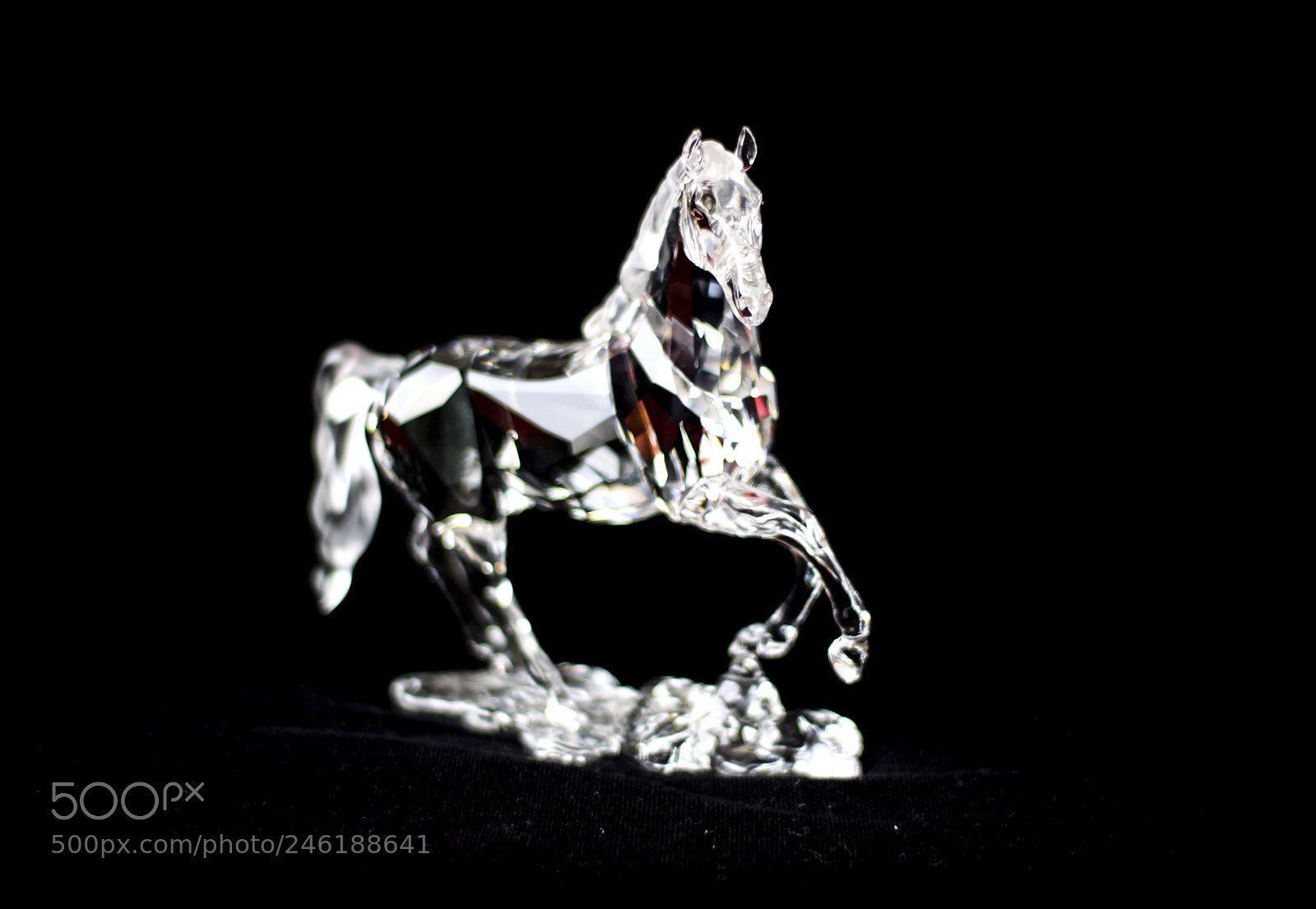 Canon EOS 50D sample photo. Caballo de cristal photography