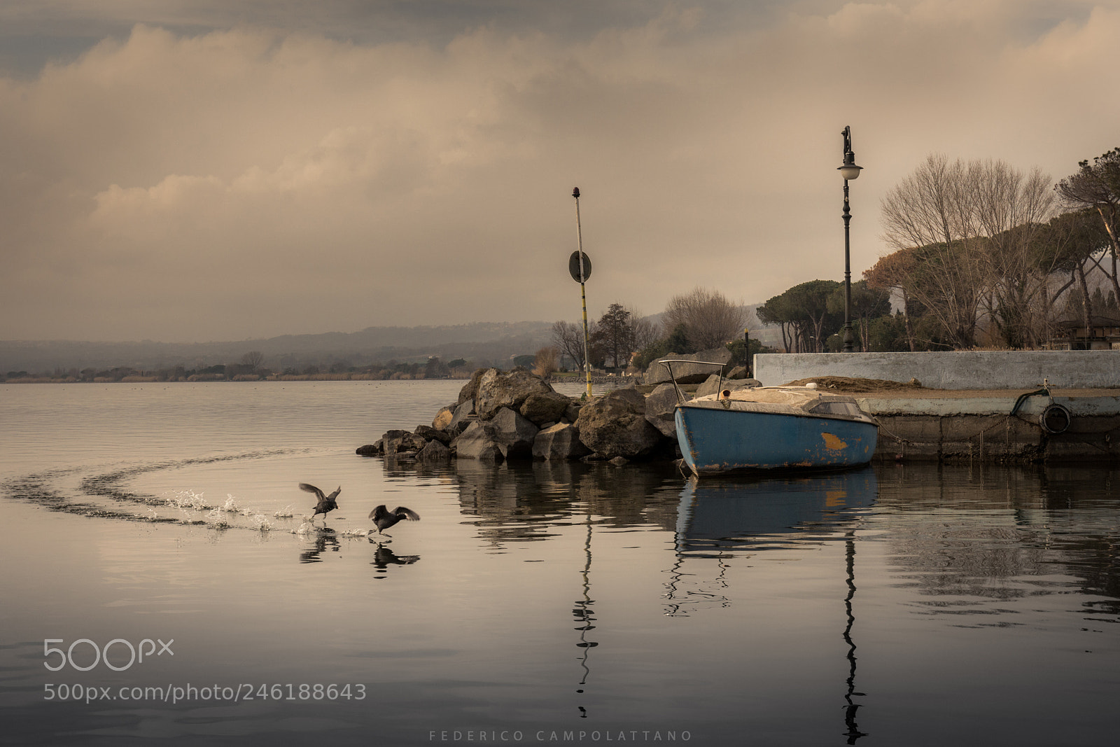 Nikon D7200 sample photo. The lake photography