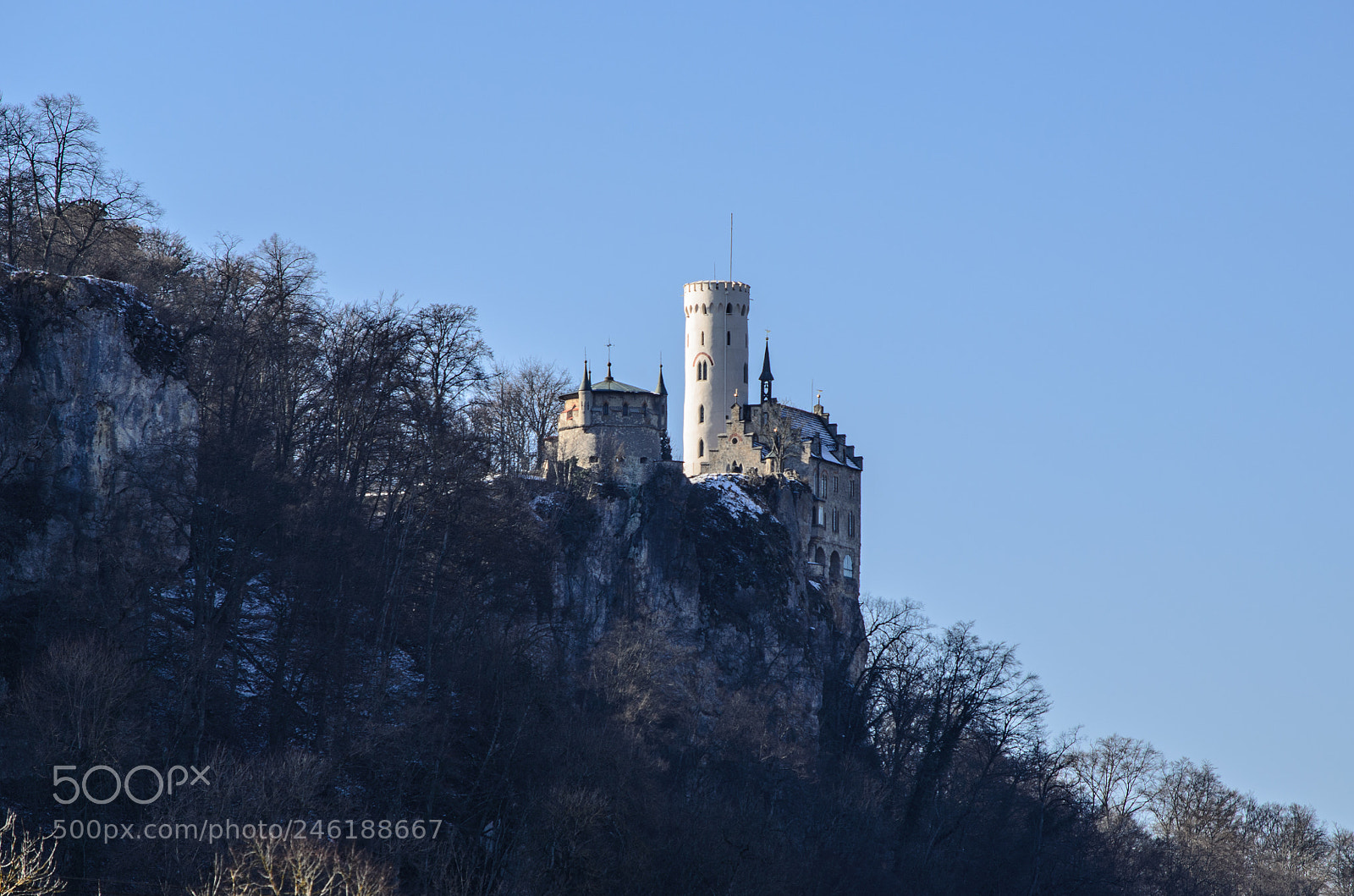 Nikon D5100 sample photo. Schloss lichtenstein photography
