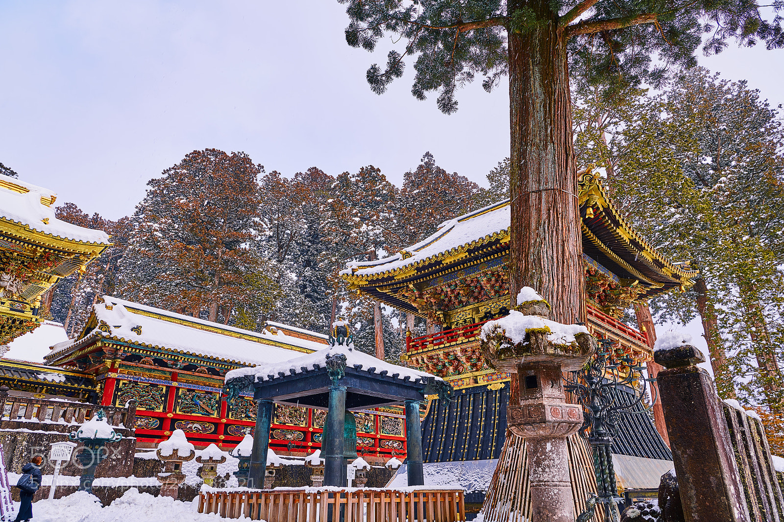 Nikon D850 sample photo. Shorou photography