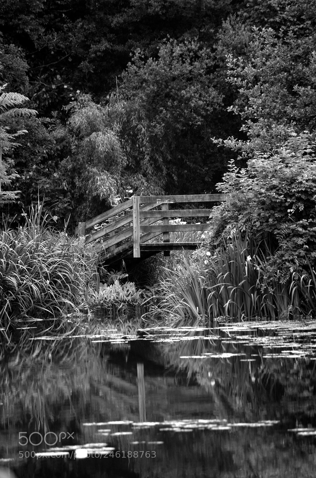 Pentax K-30 sample photo. Le pont photography