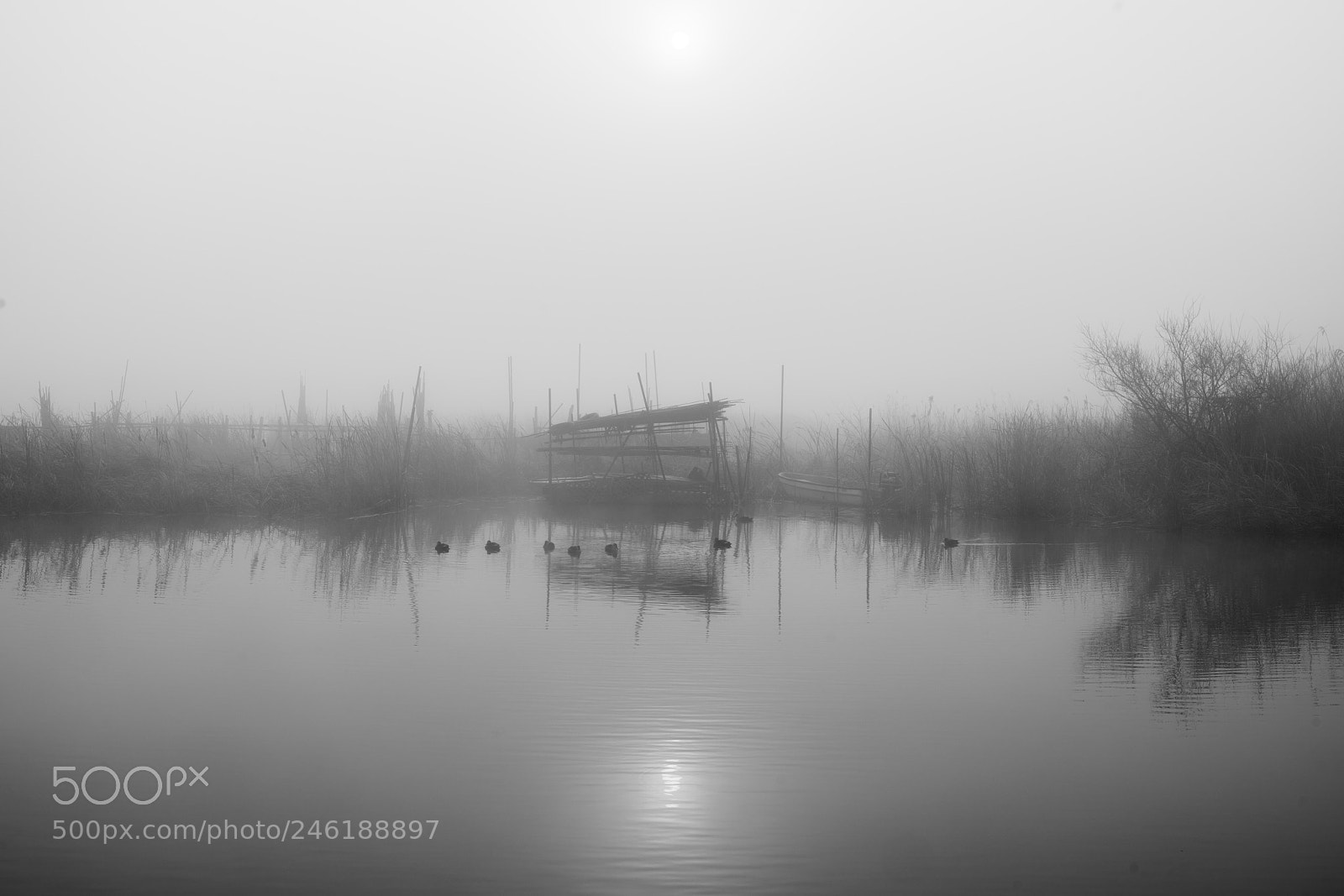 Sony a99 II sample photo. A misty morning 6 photography