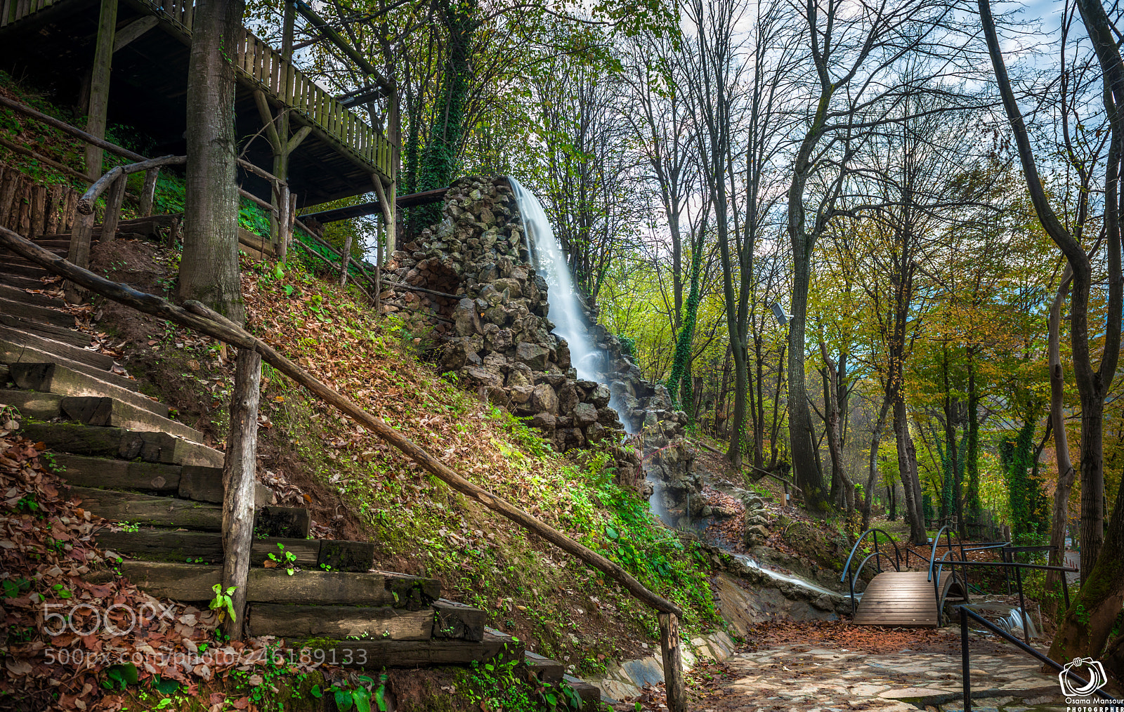 Nikon D610 sample photo. Nature beauty photography
