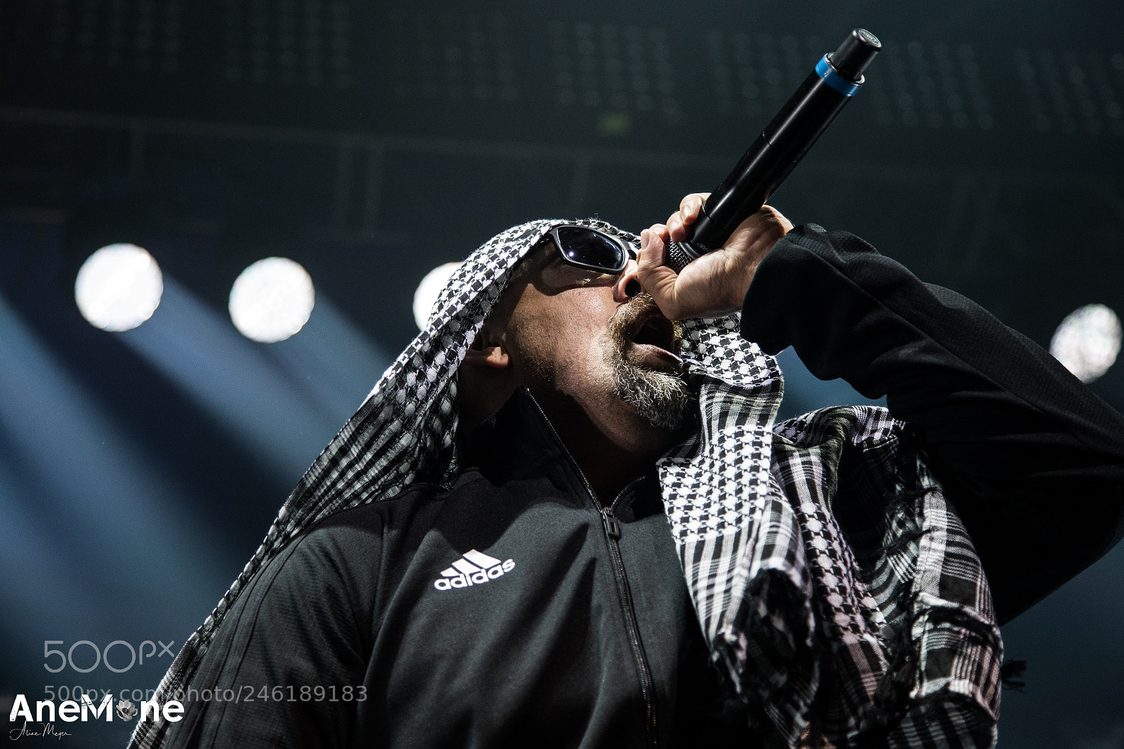 Canon EOS-1D X sample photo. Prophets of rage photography