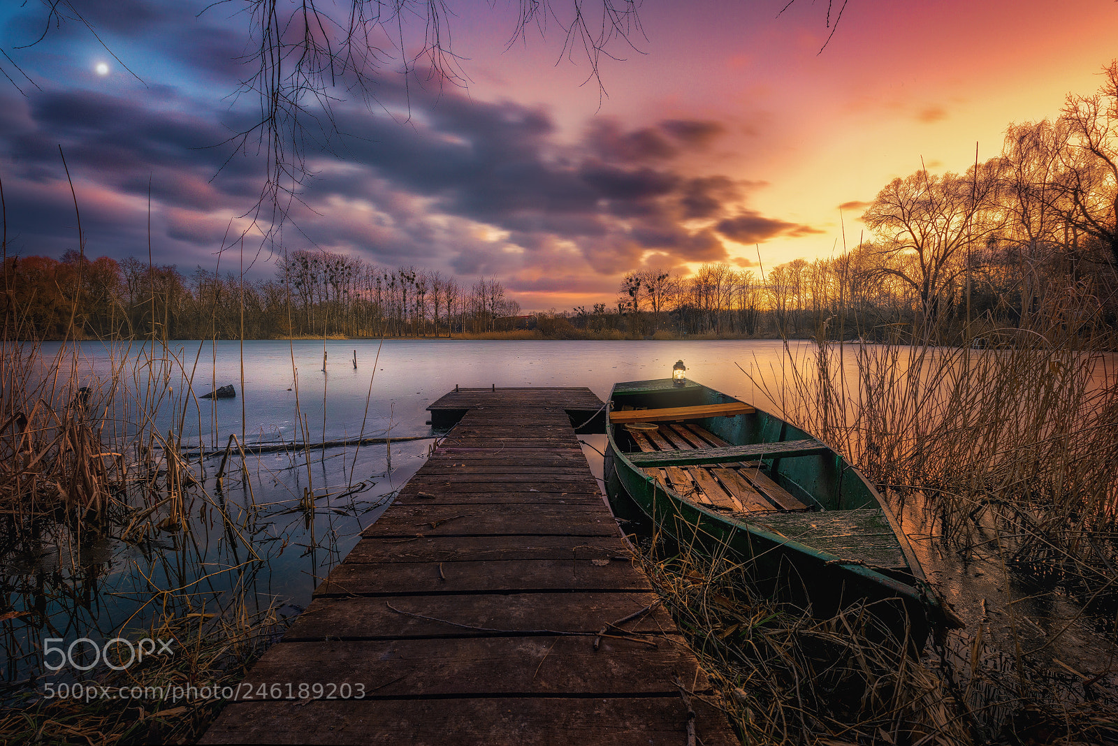 Nikon D810 sample photo. Enjoy the silence photography