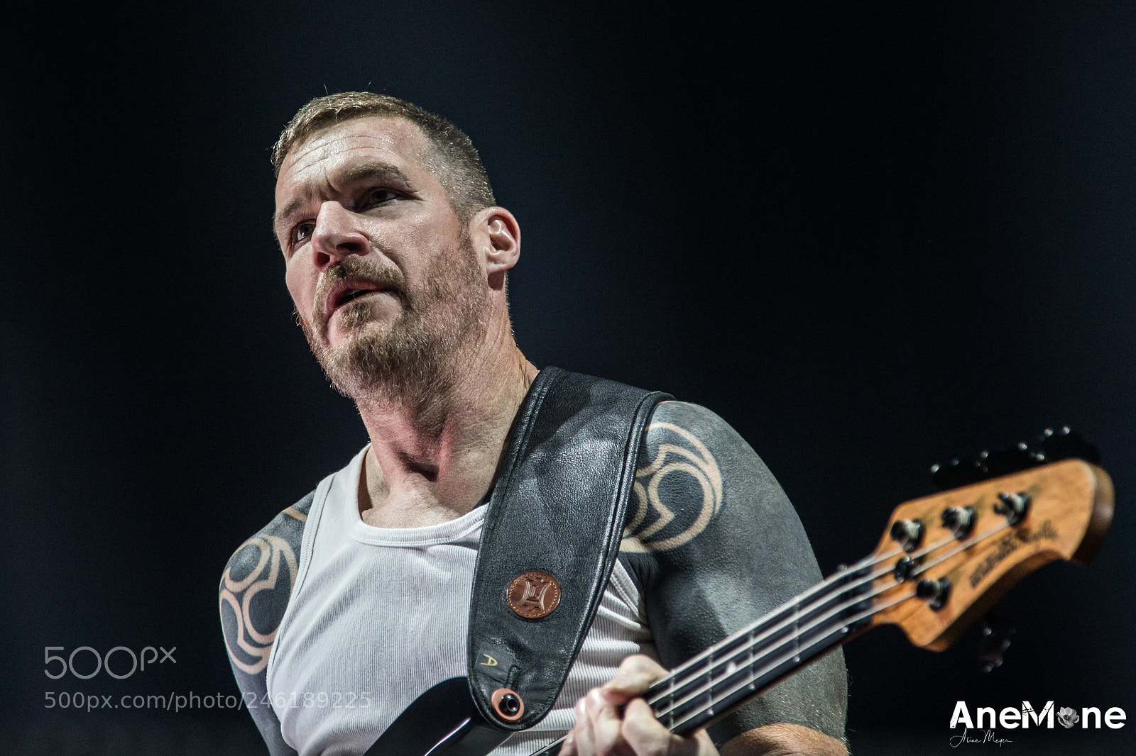 Canon EOS-1D X sample photo. Prophets of rage photography