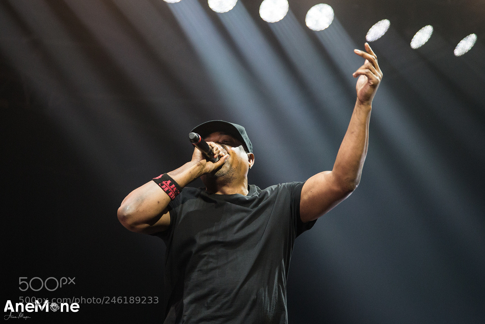 Canon EOS-1D X sample photo. Prophets of rage photography
