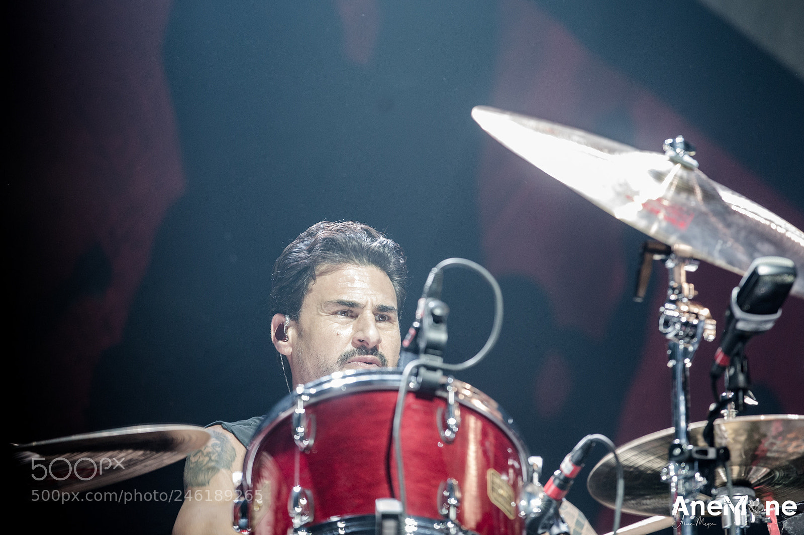 Canon EOS-1D X sample photo. Prophets of rage photography