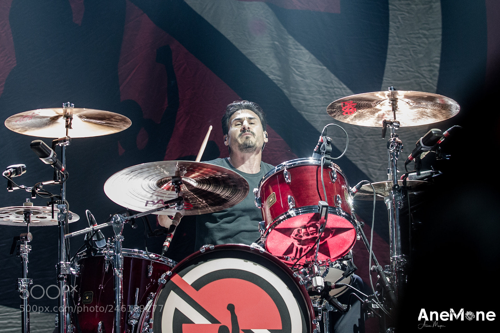 Canon EOS-1D X sample photo. Prophets of rage photography