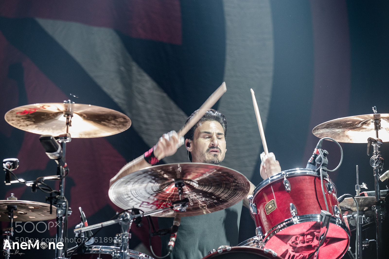 Canon EOS-1D X sample photo. Prophets of rage photography