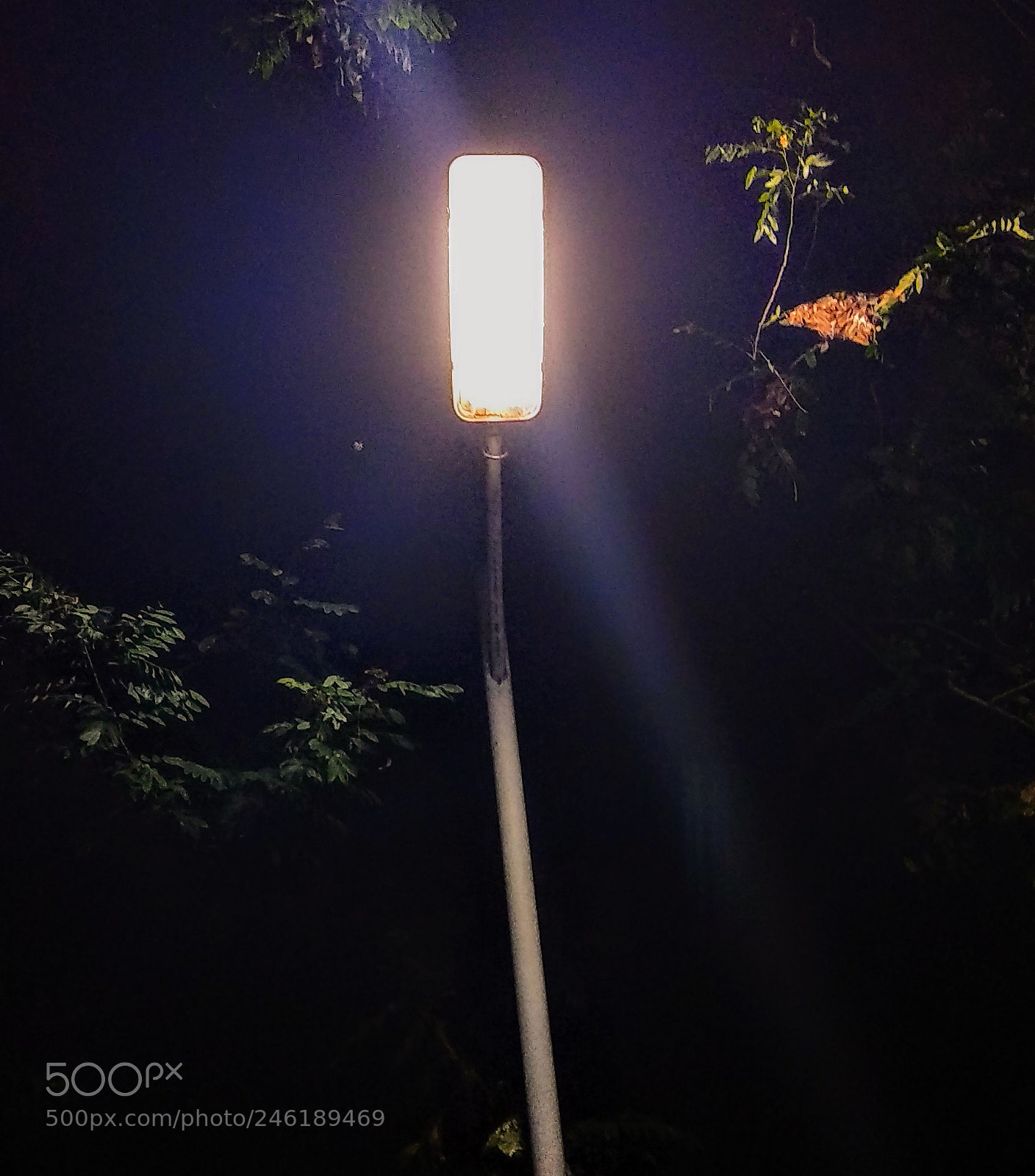 Xiaomi Mi A1 sample photo. Untitled photography