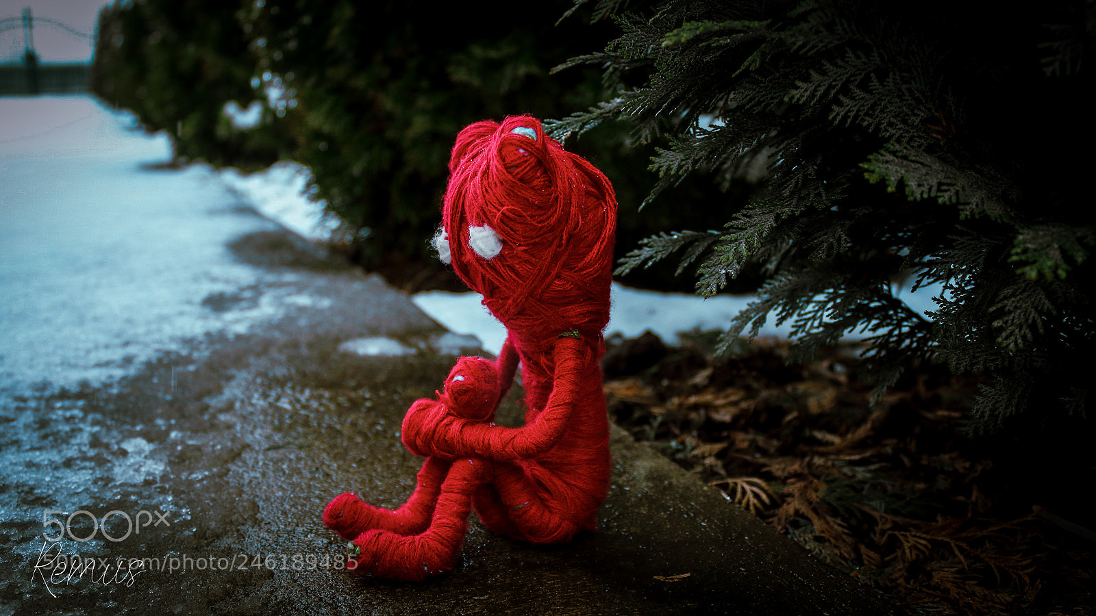 Canon EOS 1300D (EOS Rebel T6 / EOS Kiss X80) sample photo. Sad yarny photography