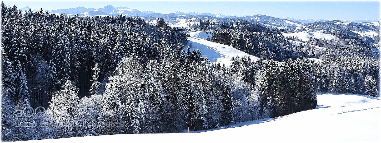 Nikon D7200 sample photo. "smale-view" photography