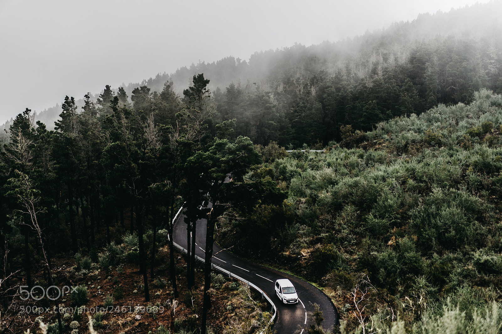 Sony a7 II sample photo. Asphalt road in a photography