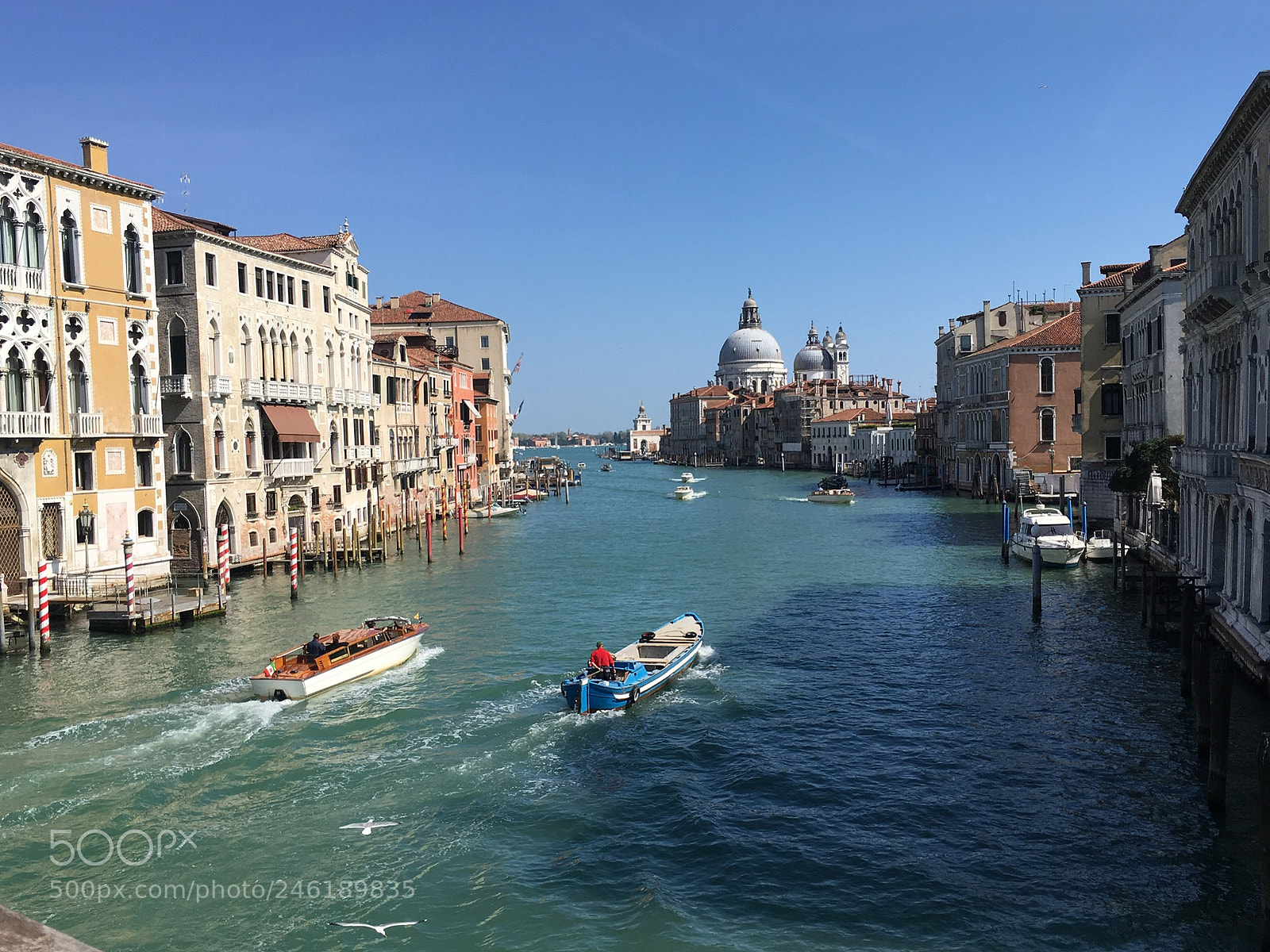 Apple iPhone SE sample photo. Venice photography