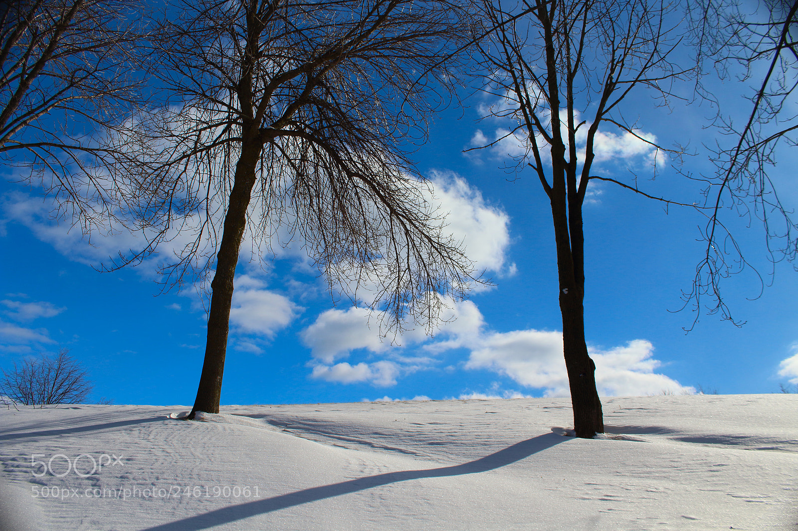 Canon EOS 1200D (EOS Rebel T5 / EOS Kiss X70 / EOS Hi) sample photo. Blue winter morning photography