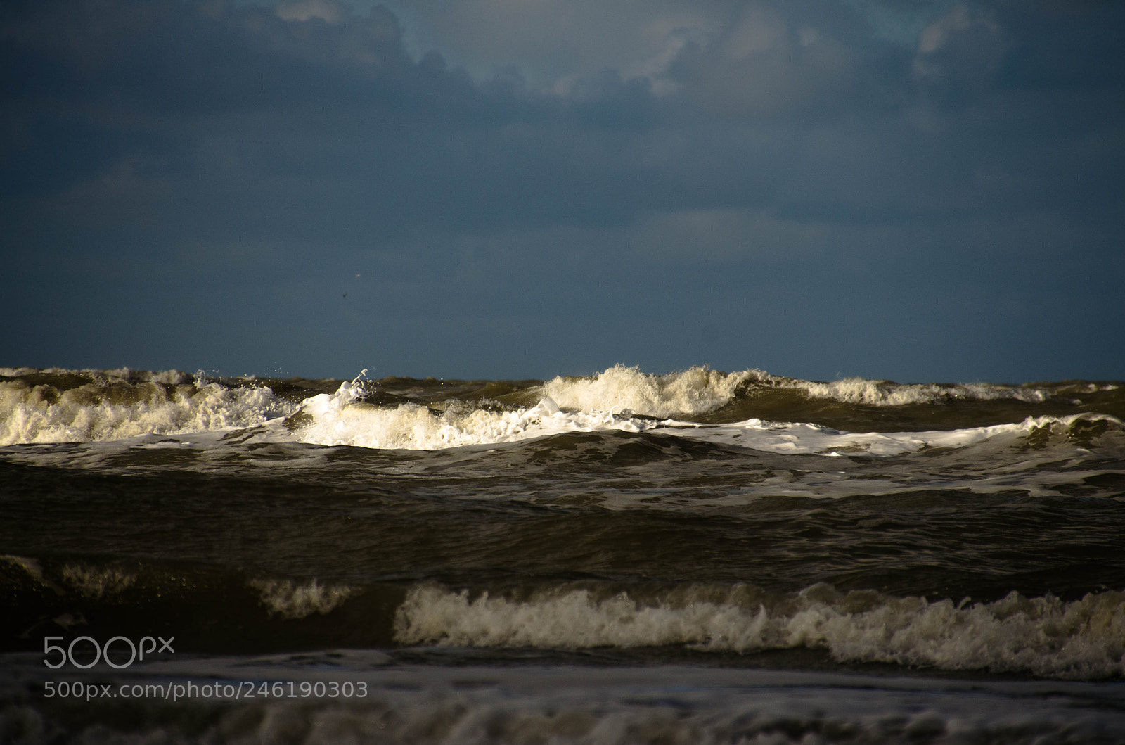 Nikon D5100 sample photo. Light the wave photography