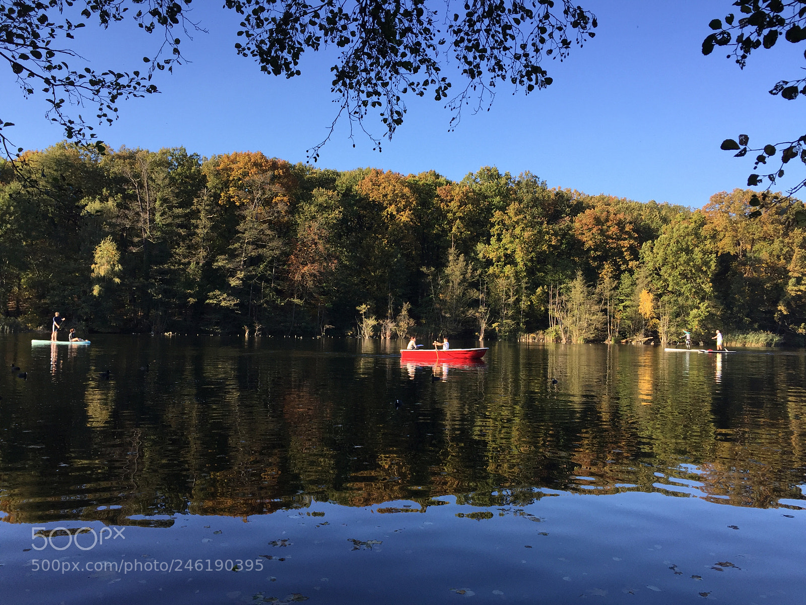 Apple iPhone 6 sample photo. Rowing boat photography