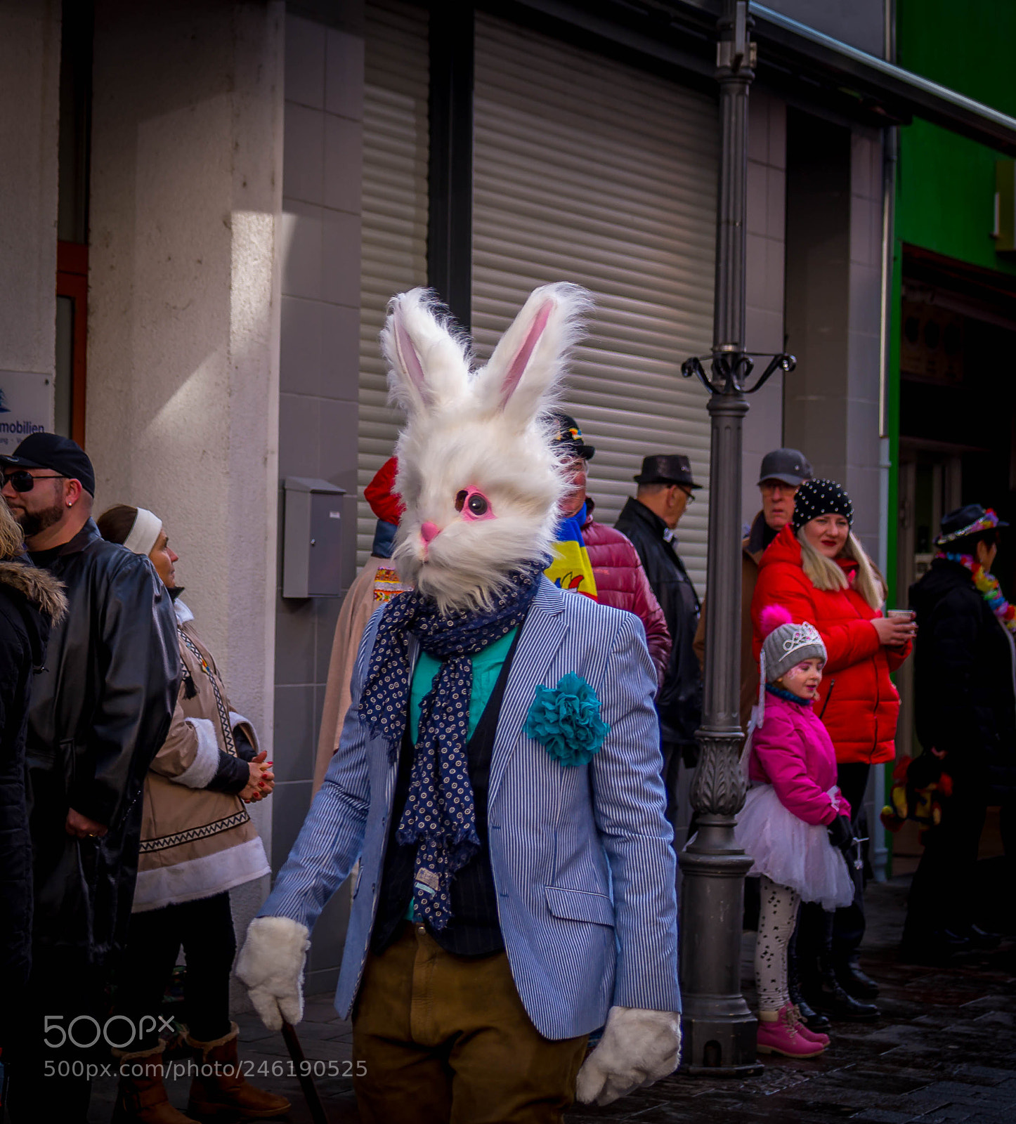 Olympus OM-D E-M5 sample photo. Rabbit man. photography