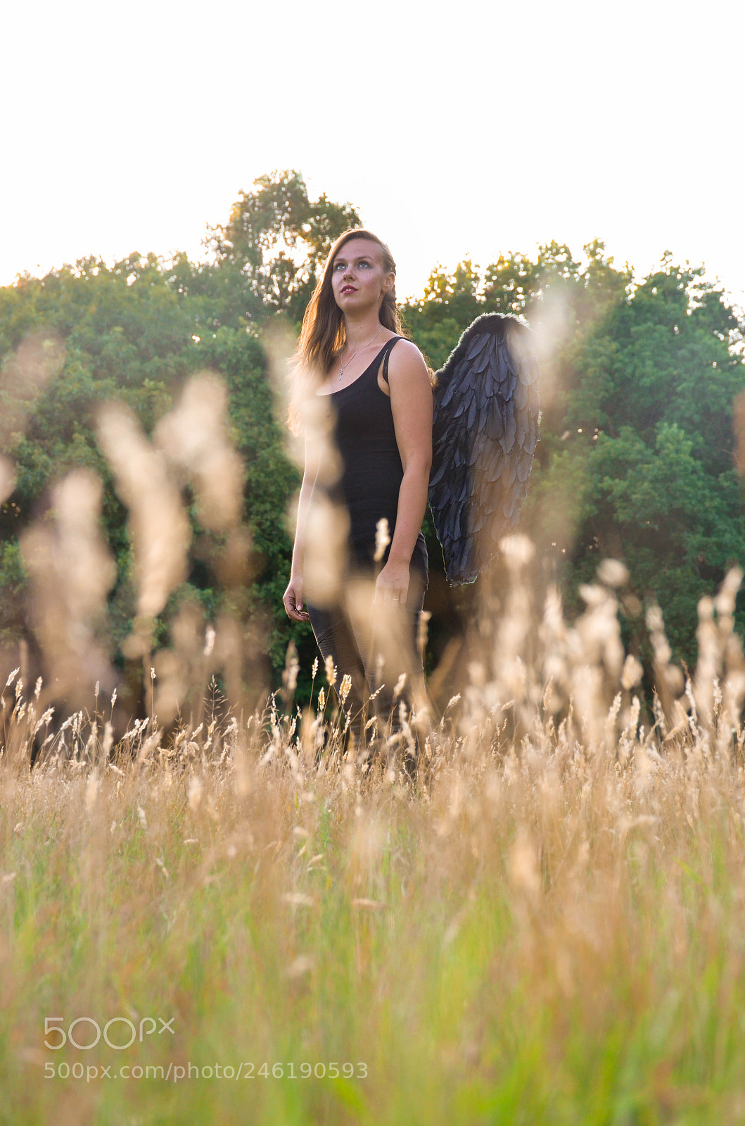 Nikon D5100 sample photo. Glacing up photography