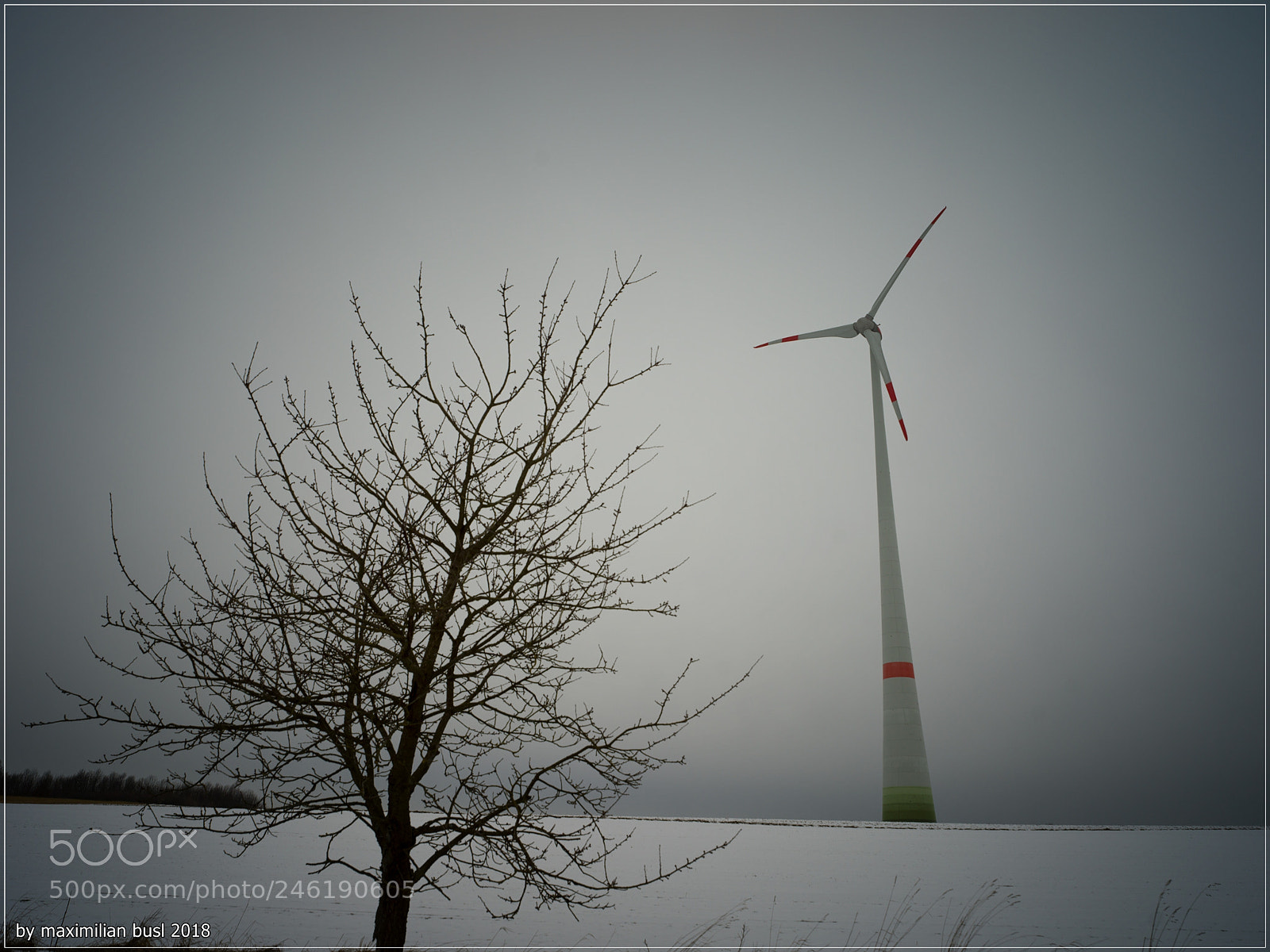 Hasselblad X1D-50c sample photo. Winter impressions (iii) photography