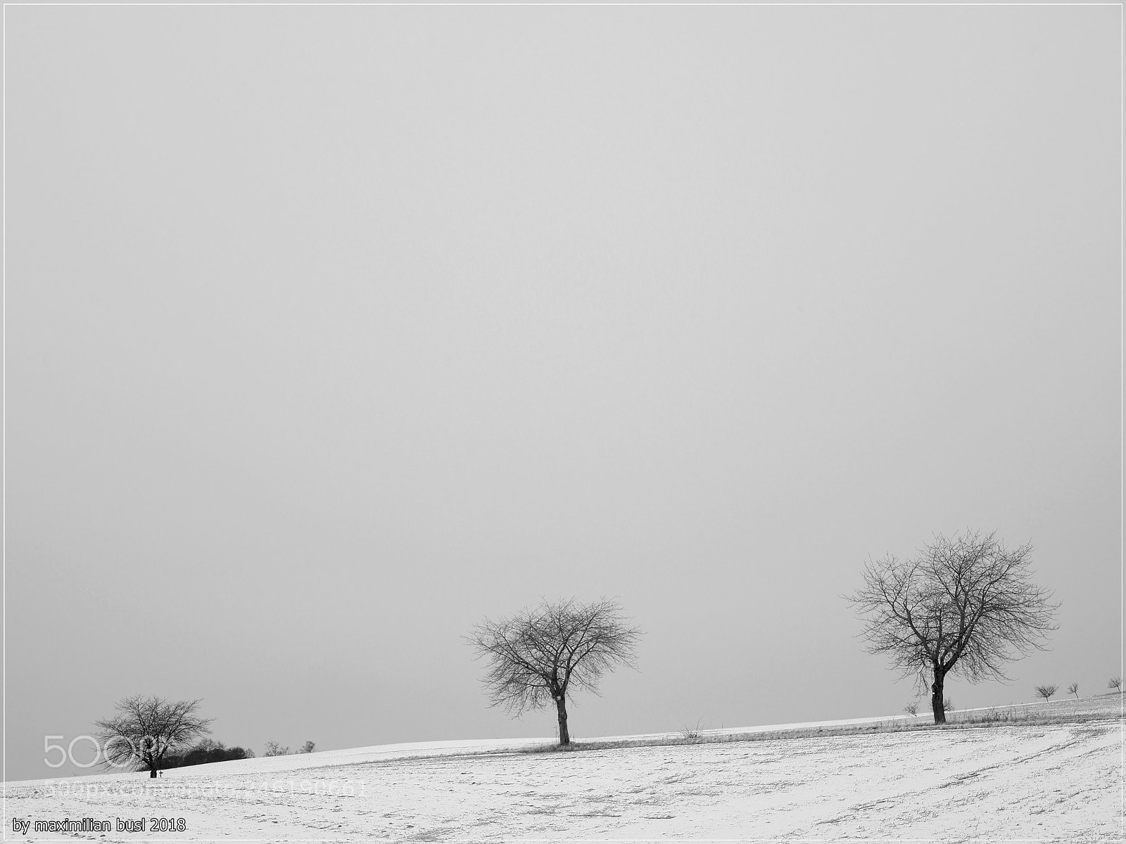 Hasselblad X1D-50c sample photo. Winter impressions (i) photography