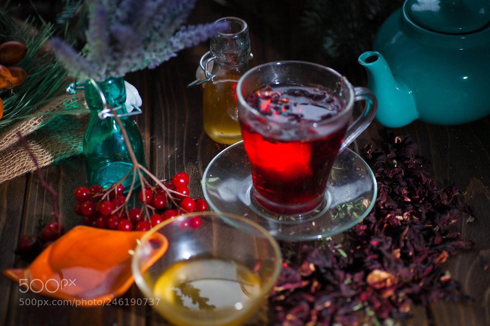 Canon EOS 5D sample photo. Hibiscus tea in a photography