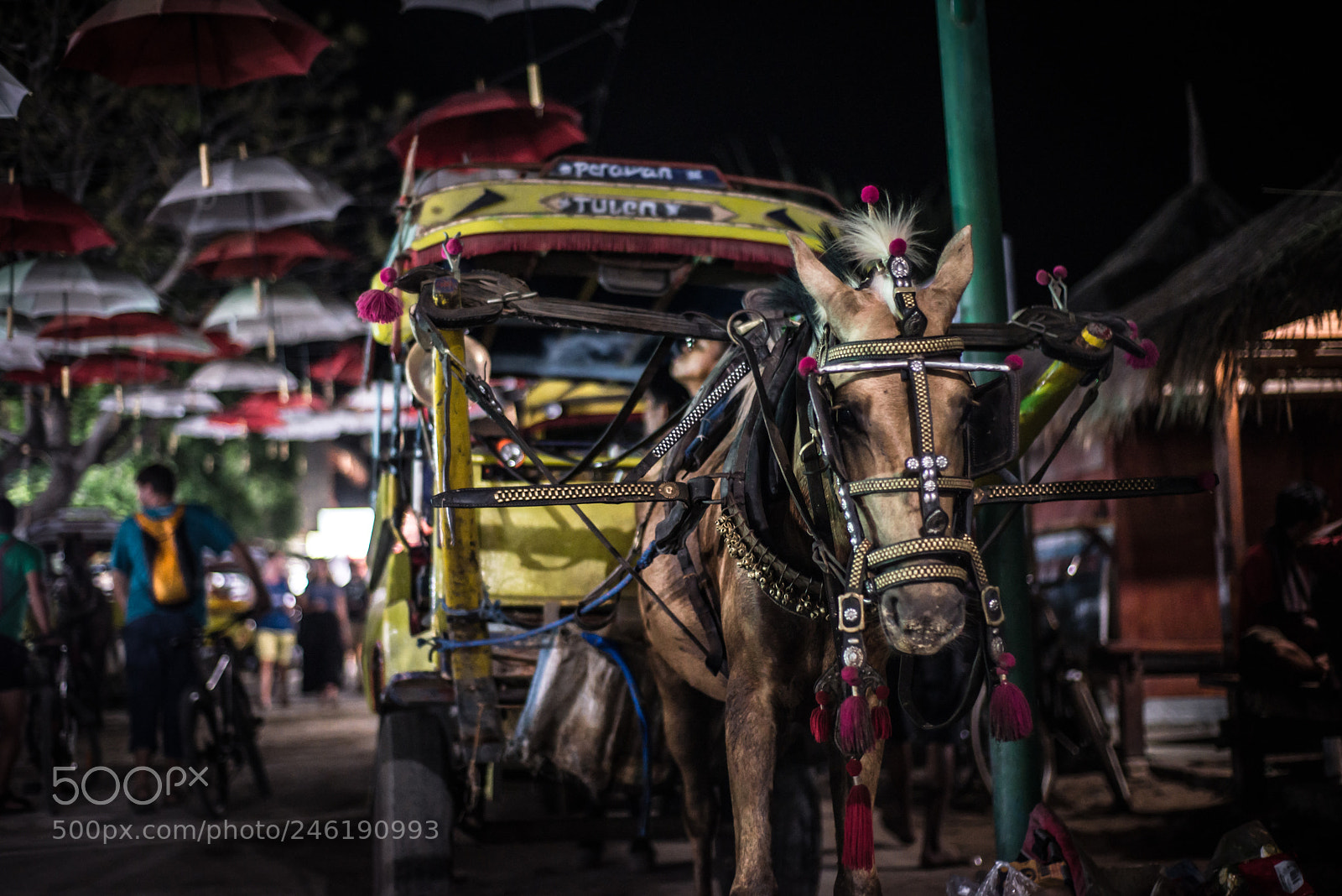 Nikon D610 sample photo. Gili, bali photography