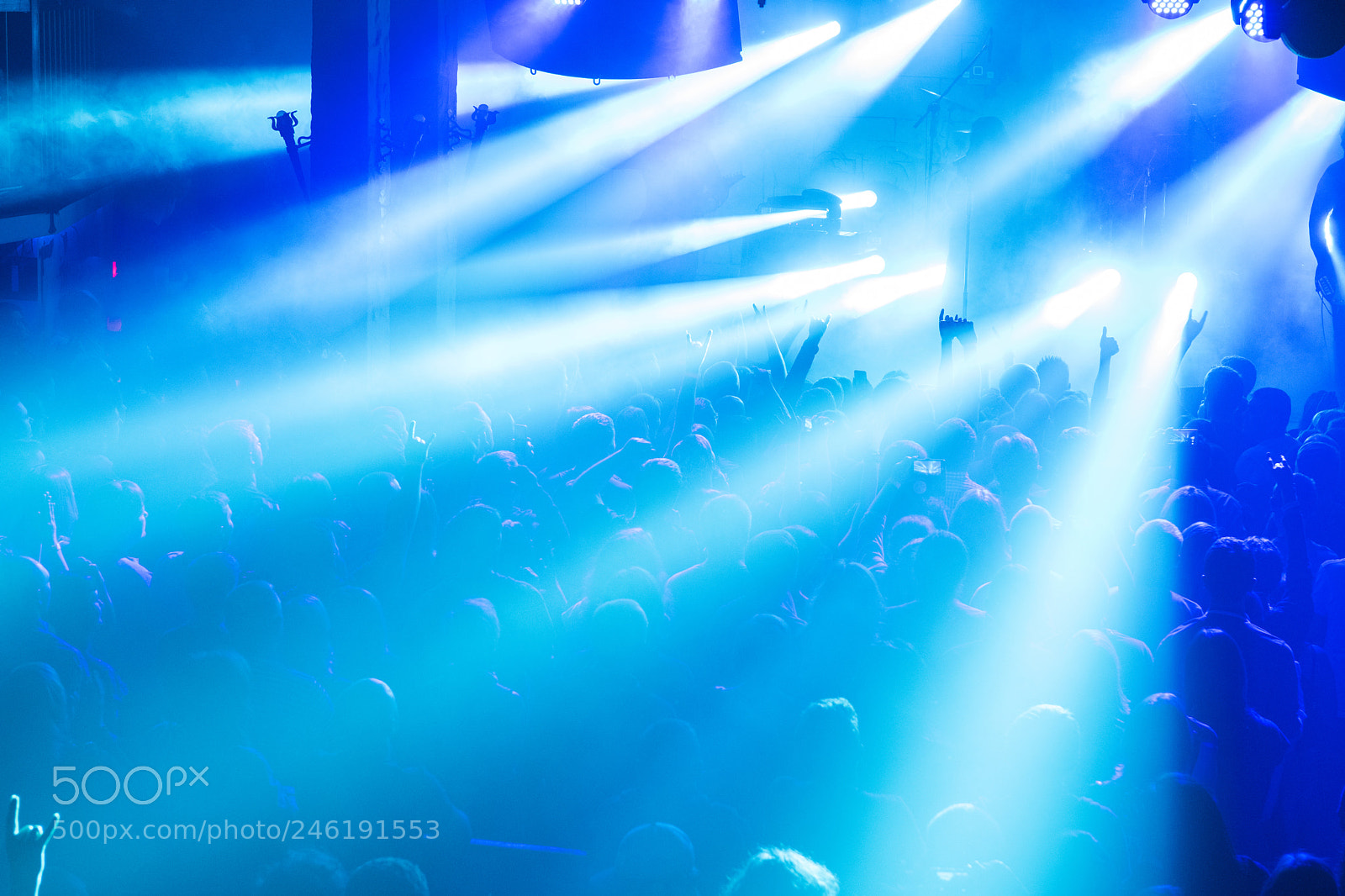 Nikon D810 sample photo. Rock concert crowd photography