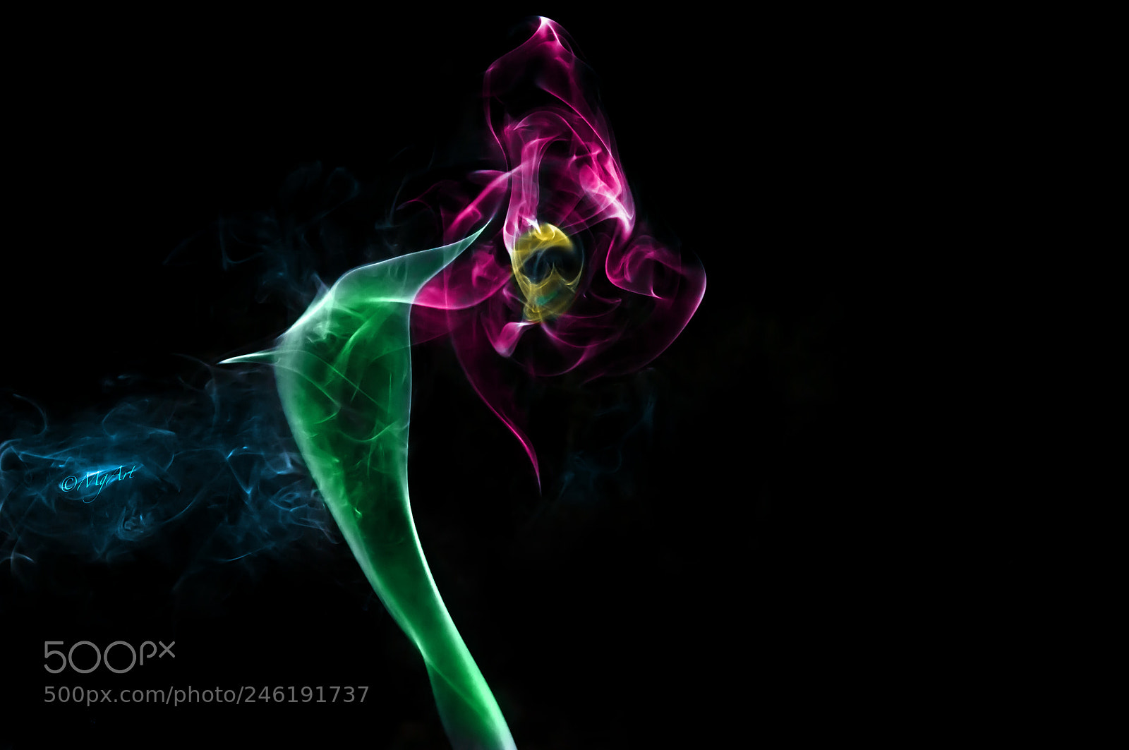 Nikon D300 sample photo. Skull, smoke and flower photography